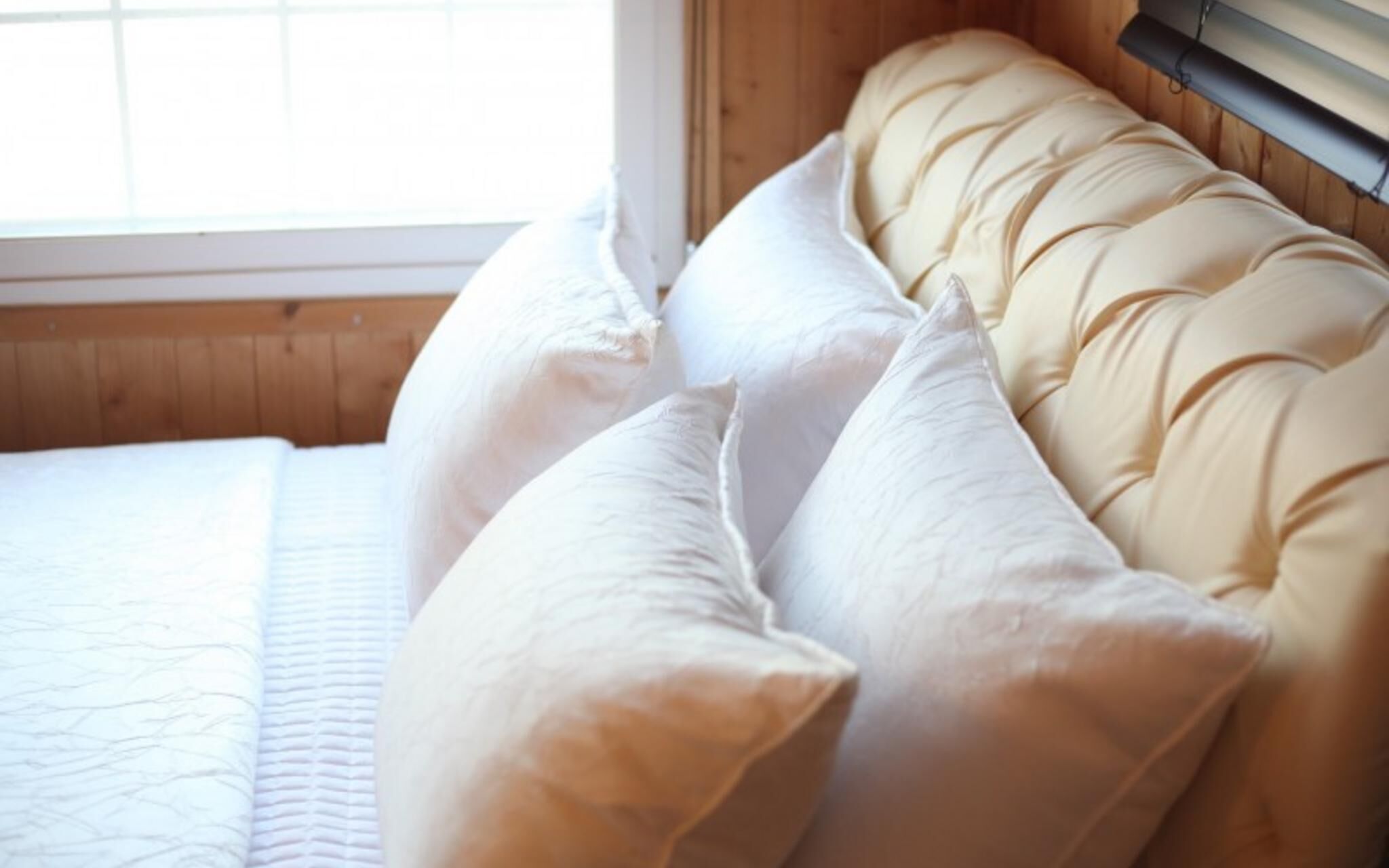 Chuncheon Pet Island Pension