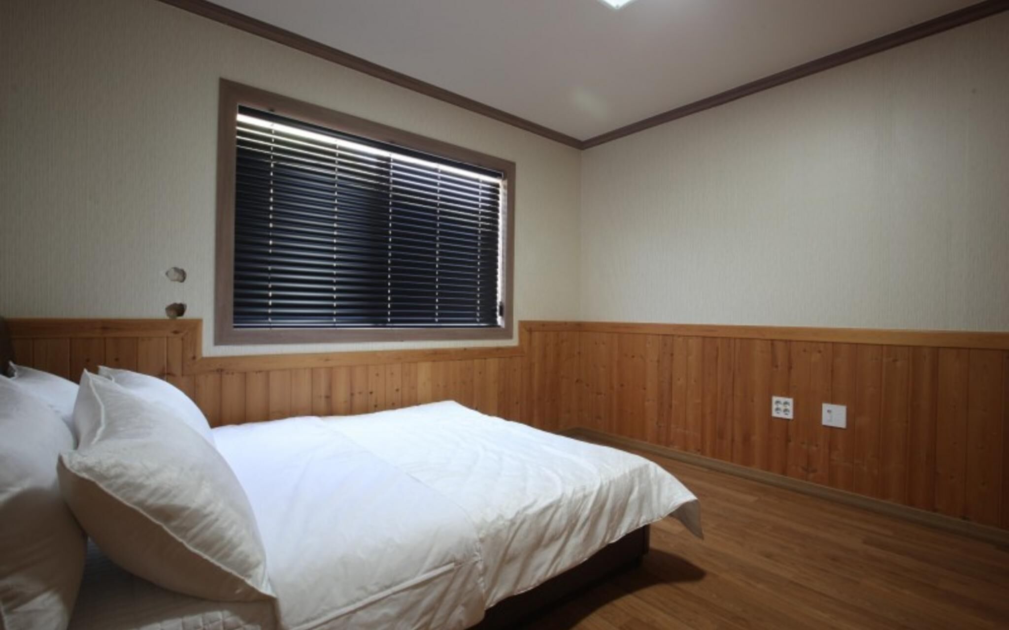 Chuncheon Pet Island Pension