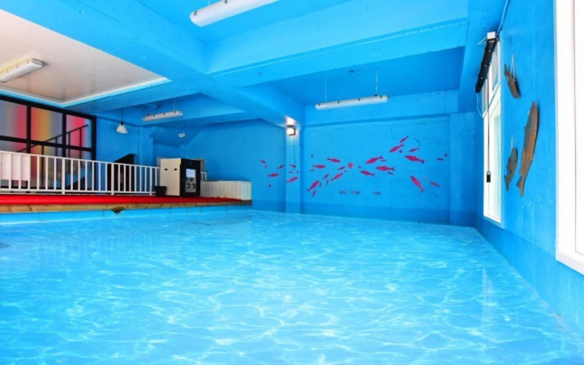 Chuncheon Pet Island Pension