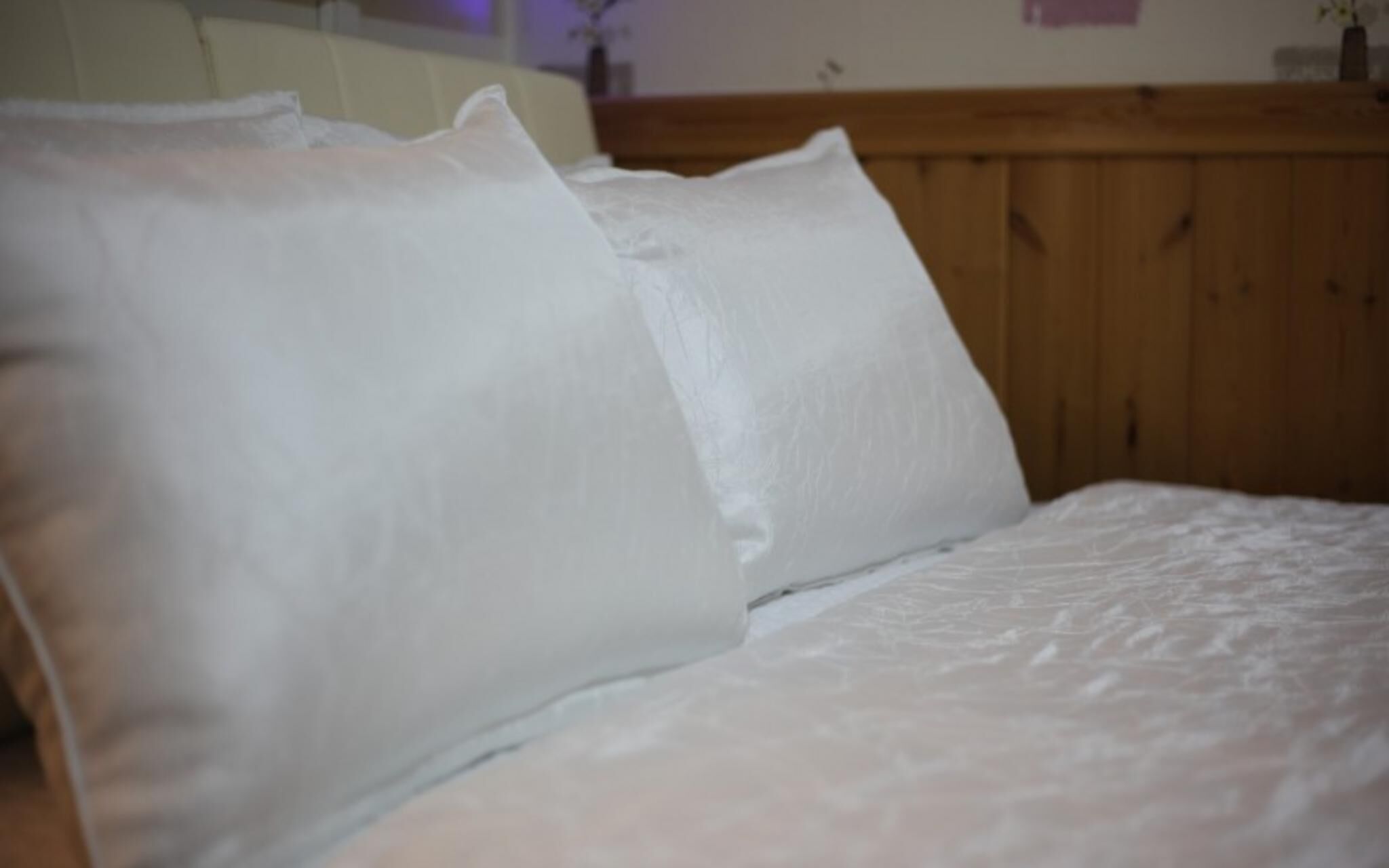 Chuncheon Pet Island Pension