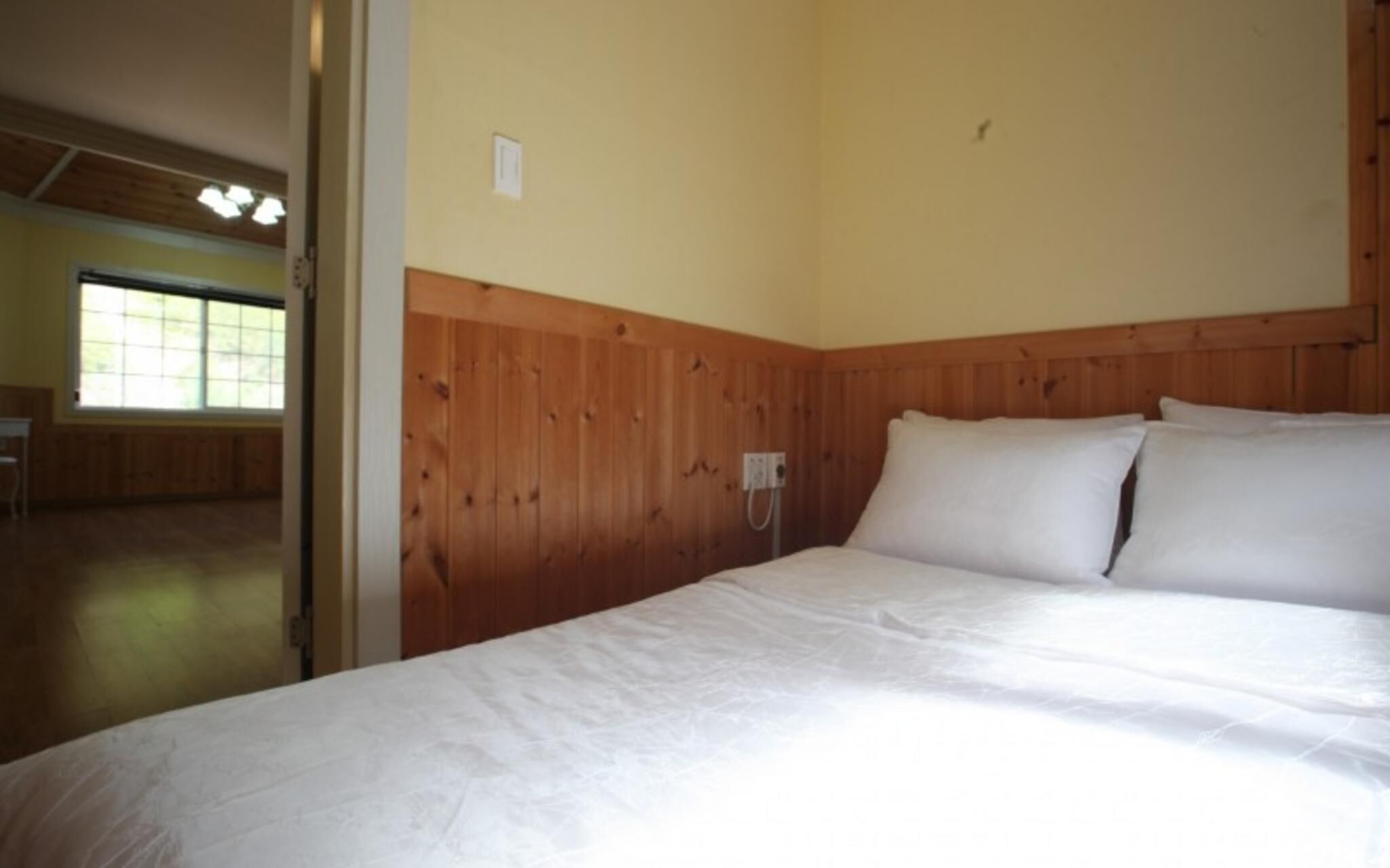 Chuncheon Pet Island Pension