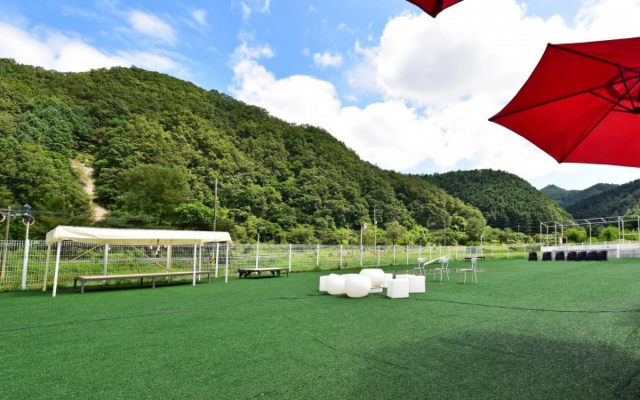 Chuncheon Pet Island Pension