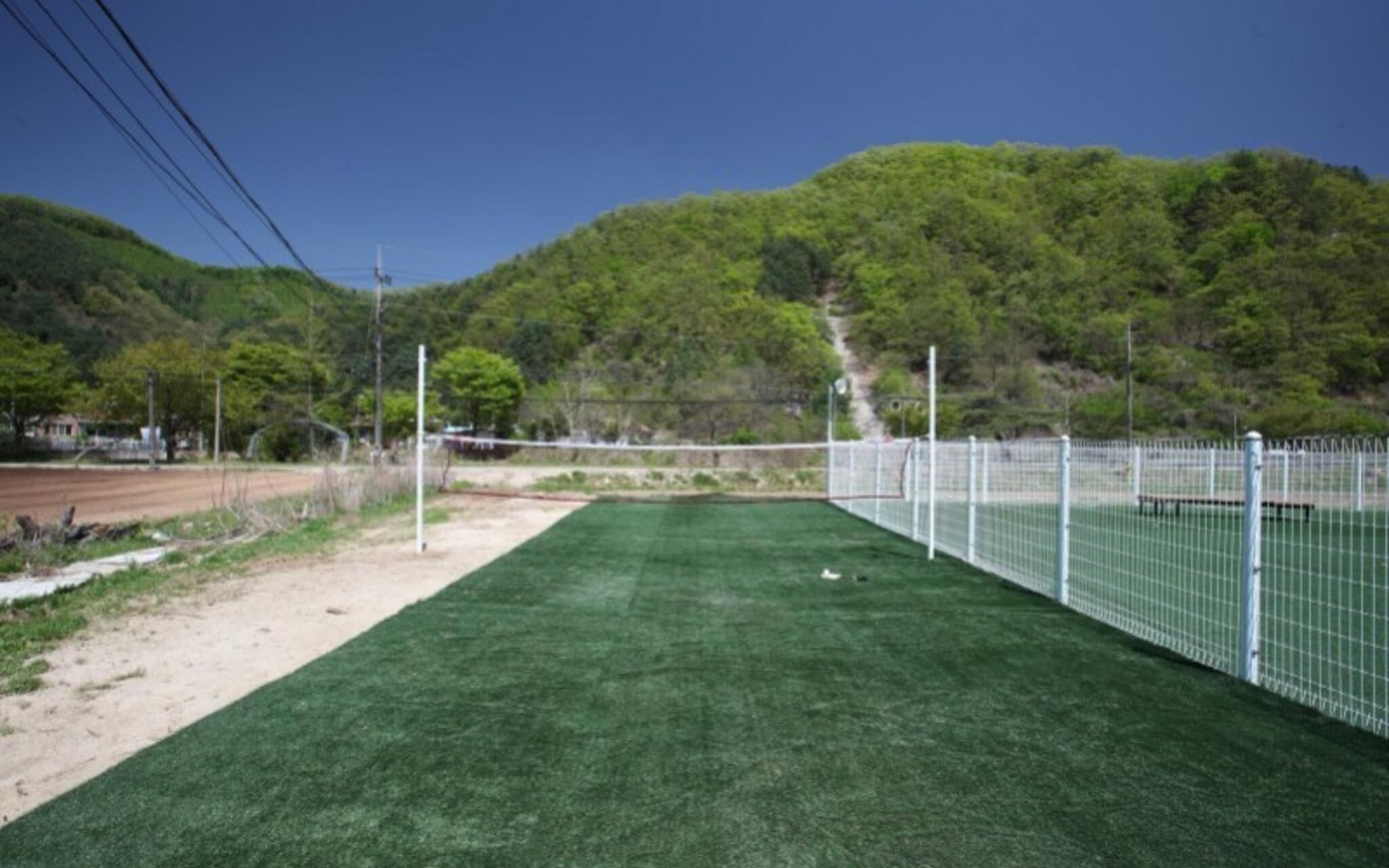 Chuncheon Pet Island Pension