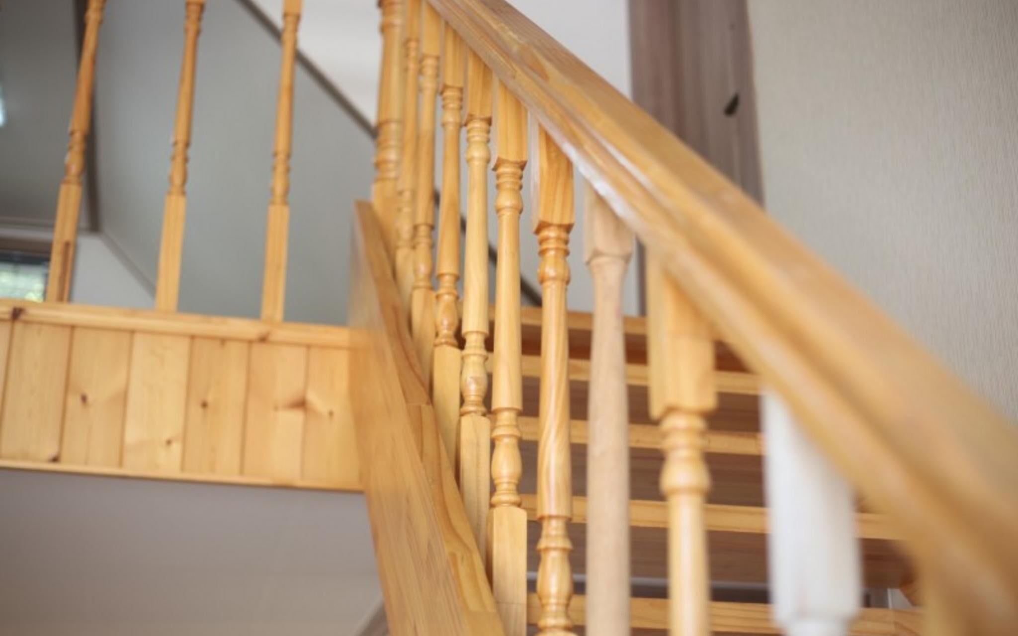 Chuncheon Pet Island Pension