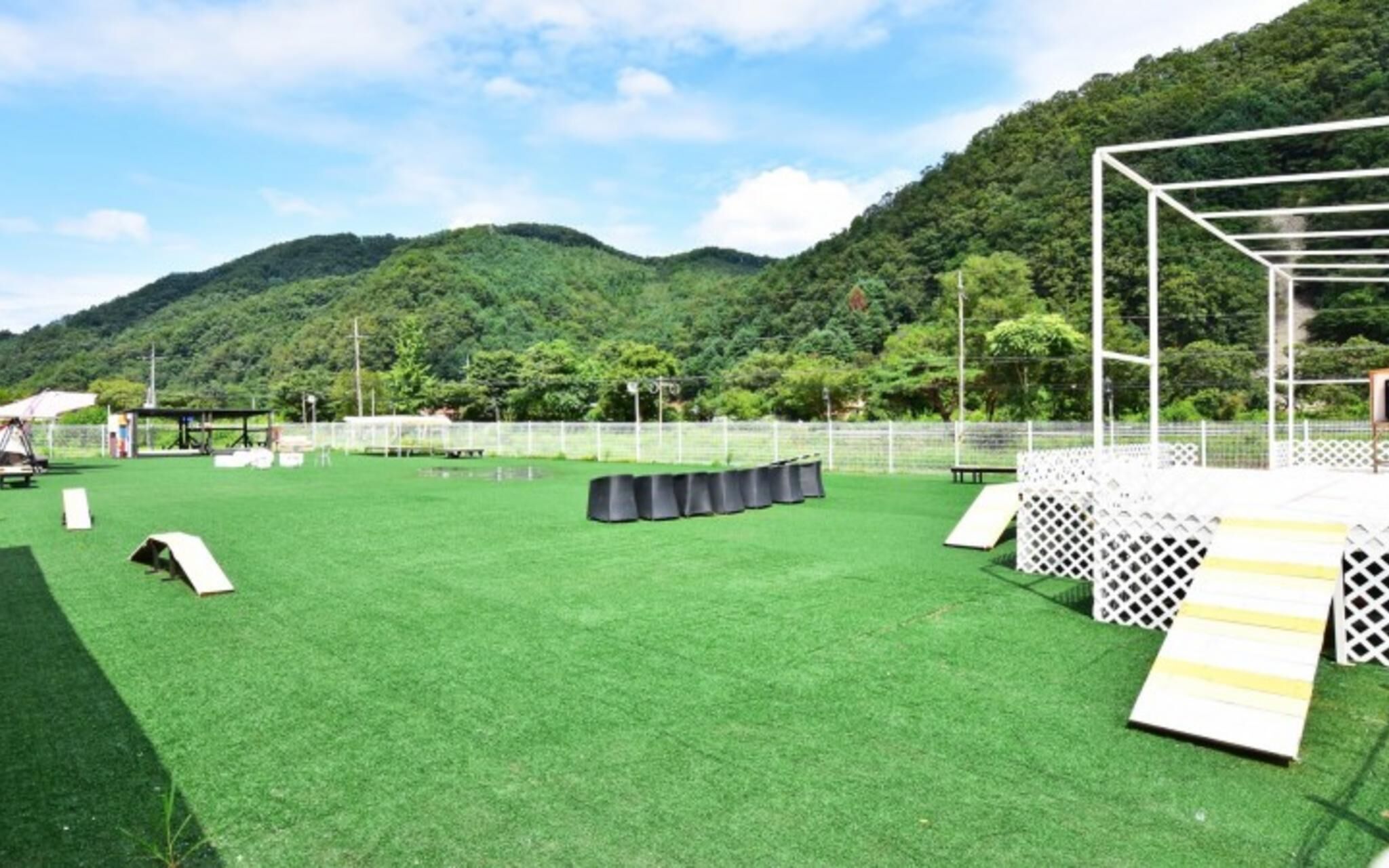 Chuncheon Pet Island Pension