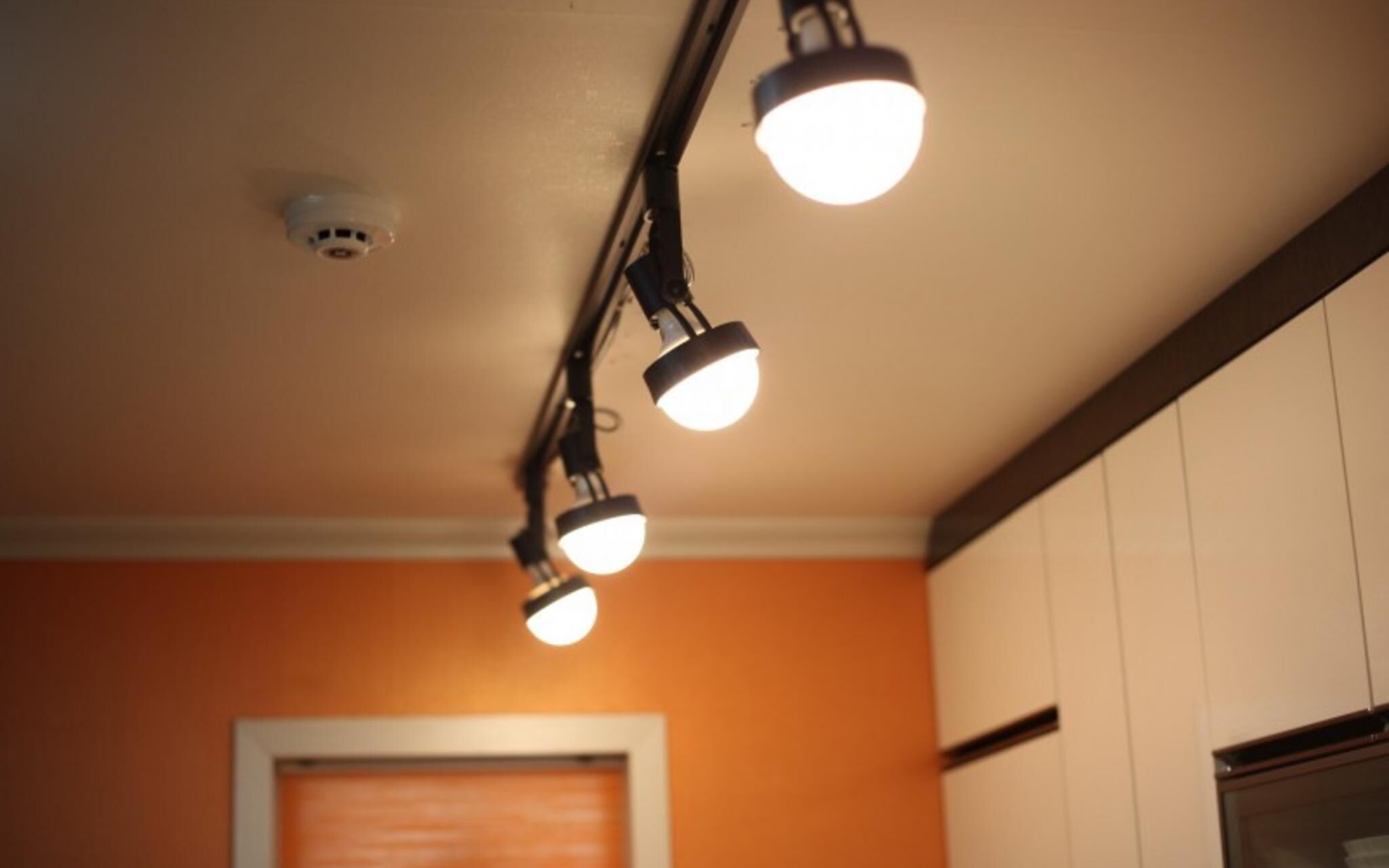 Chuncheon Pet Island Pension