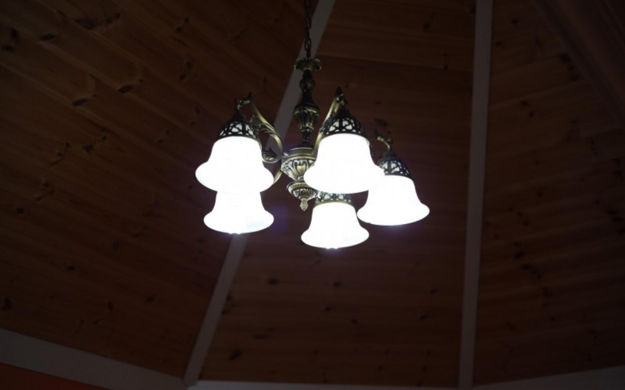 Chuncheon Pet Island Pension