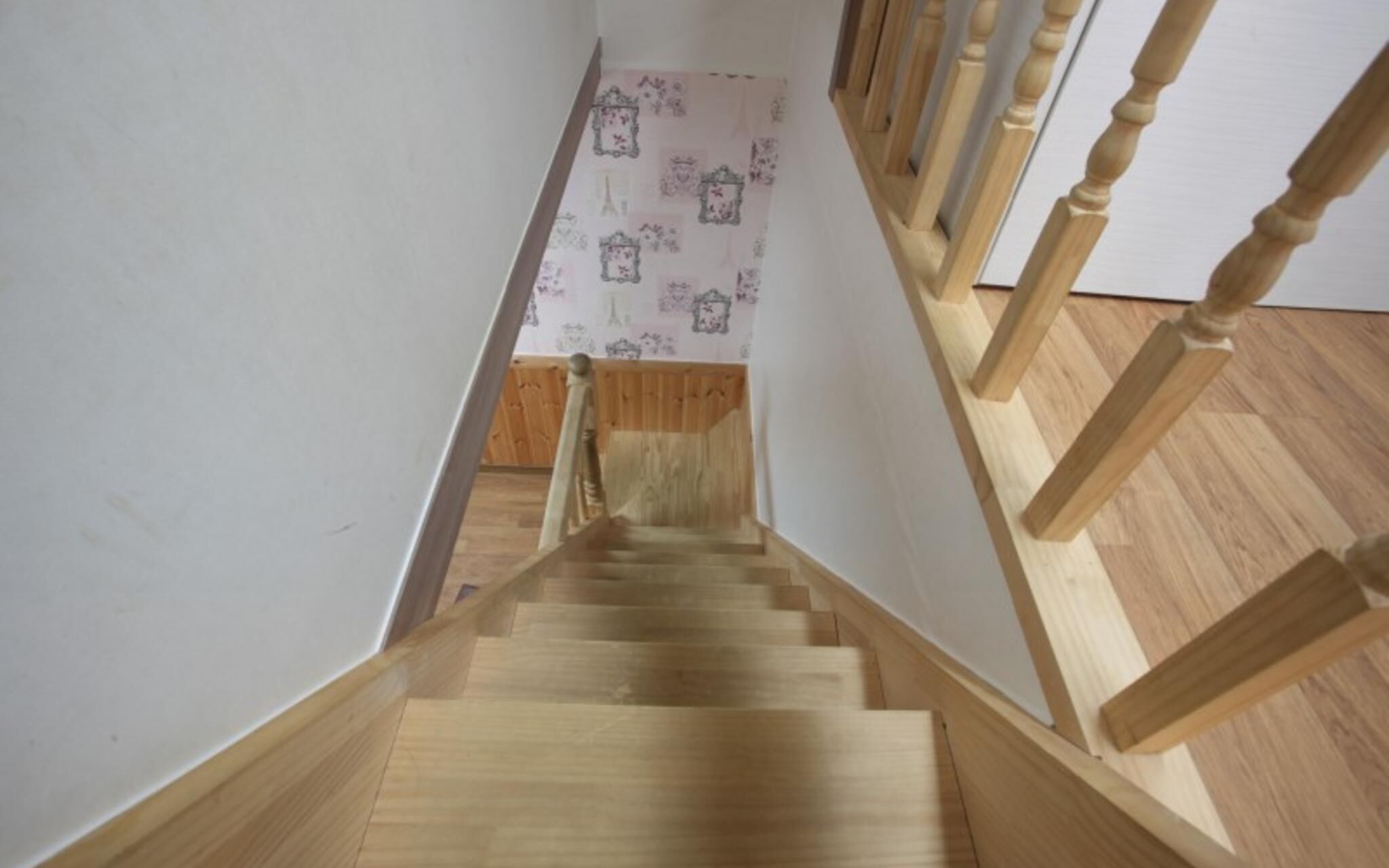 Chuncheon Pet Island Pension