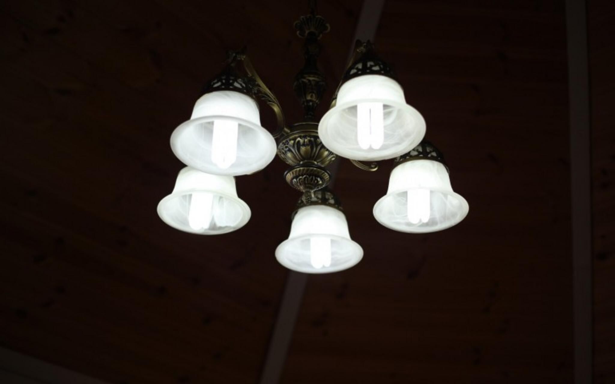 Chuncheon Pet Island Pension