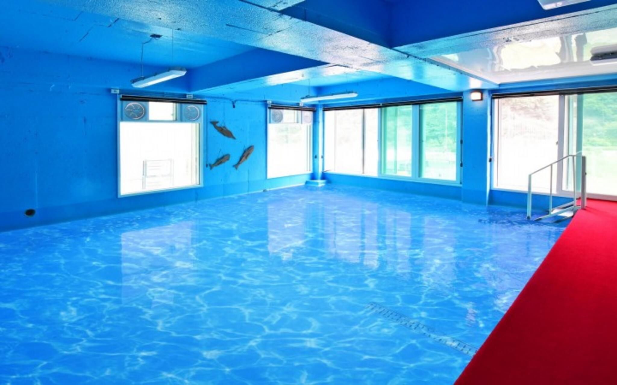 Chuncheon Pet Island Pension