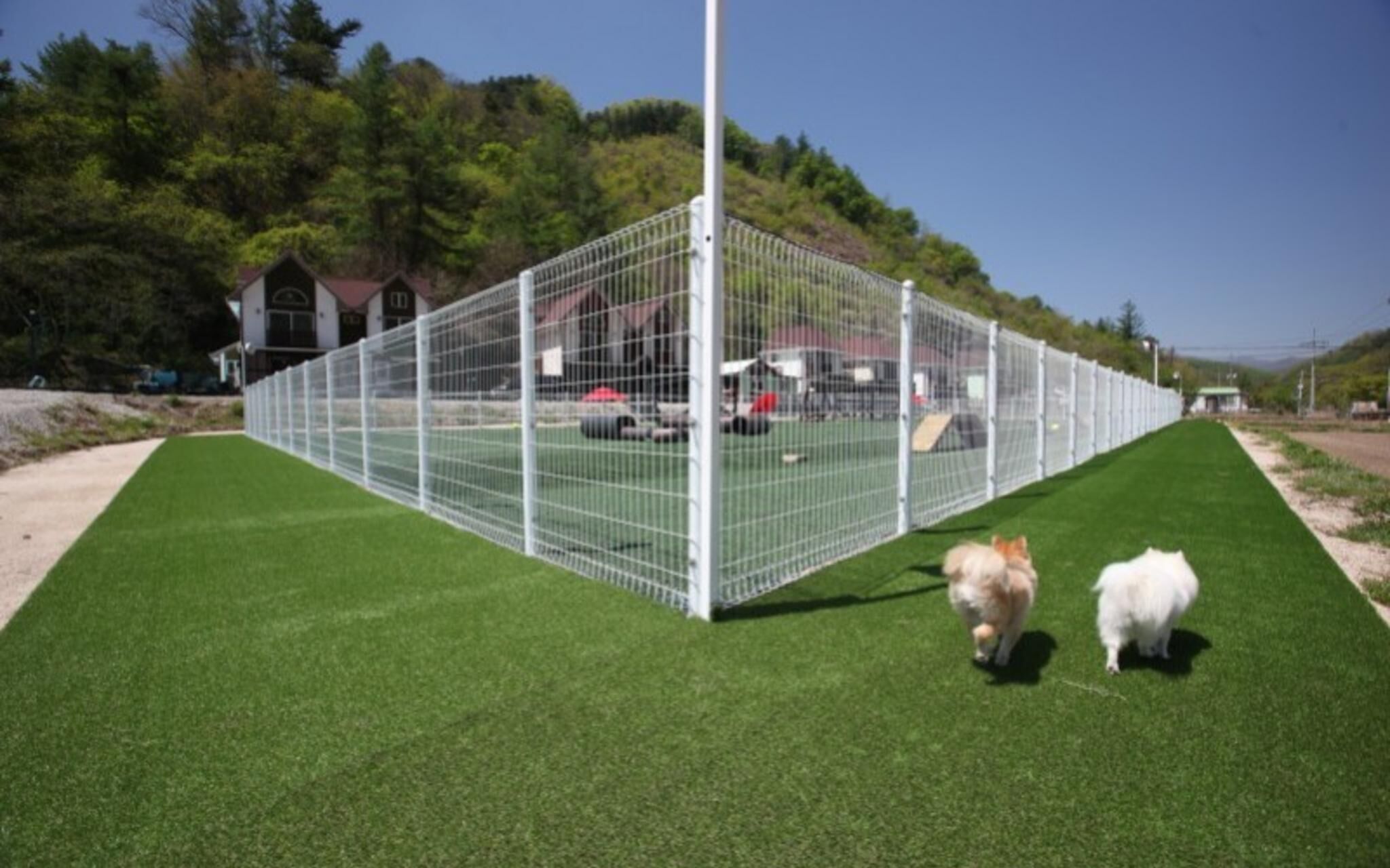 Chuncheon Pet Island Pension