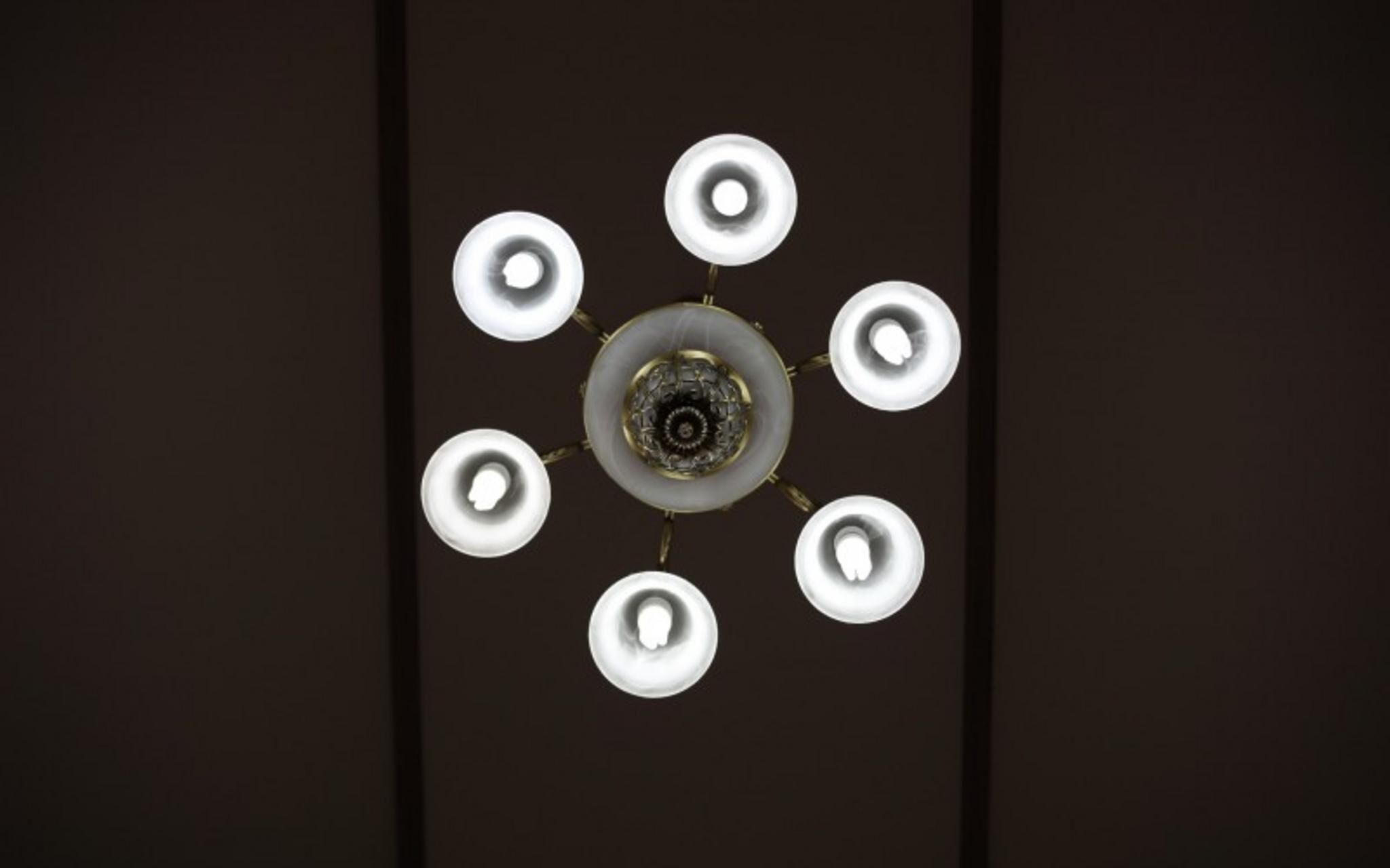 Chuncheon Pet Island Pension