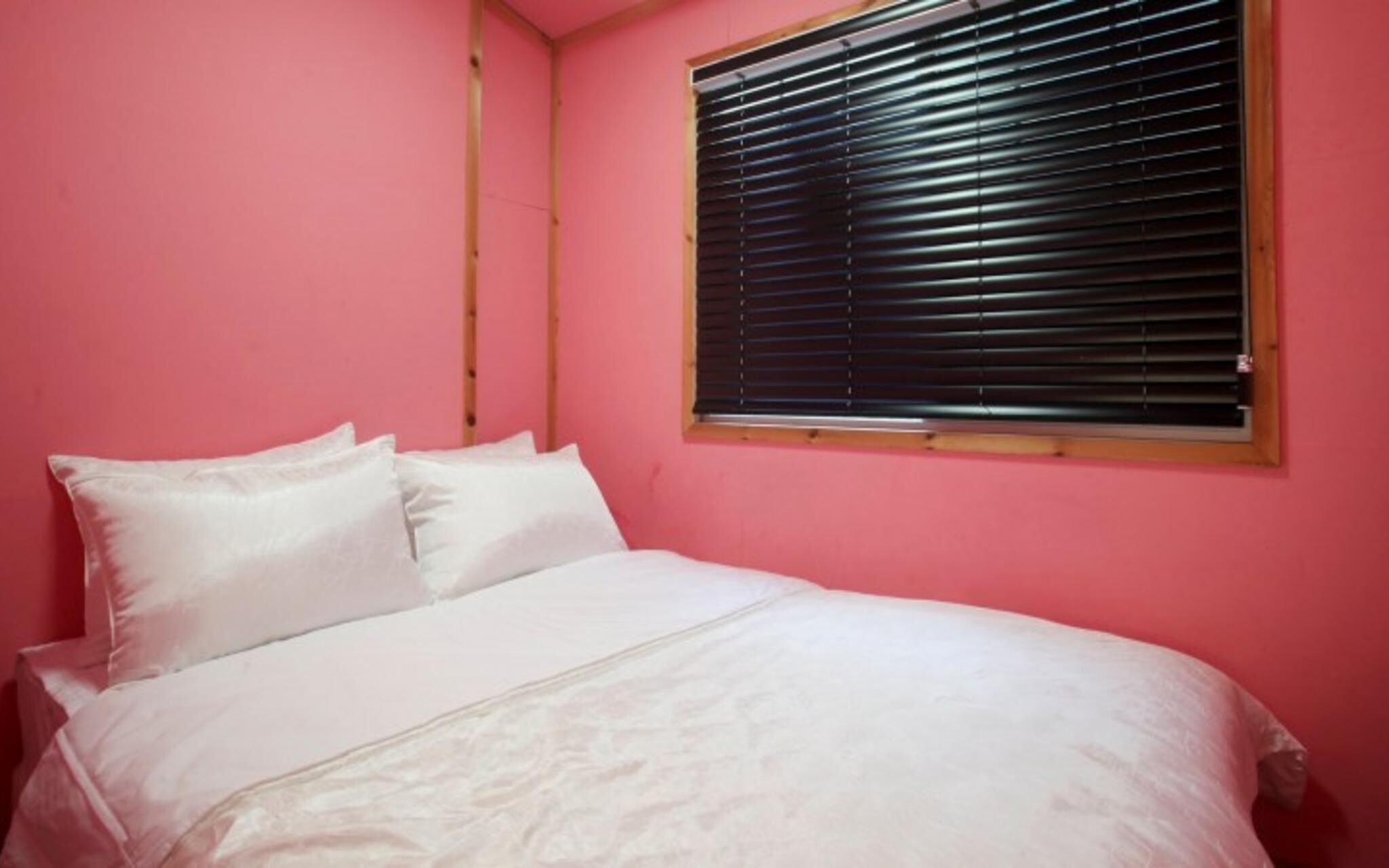 Chuncheon Pet Island Pension