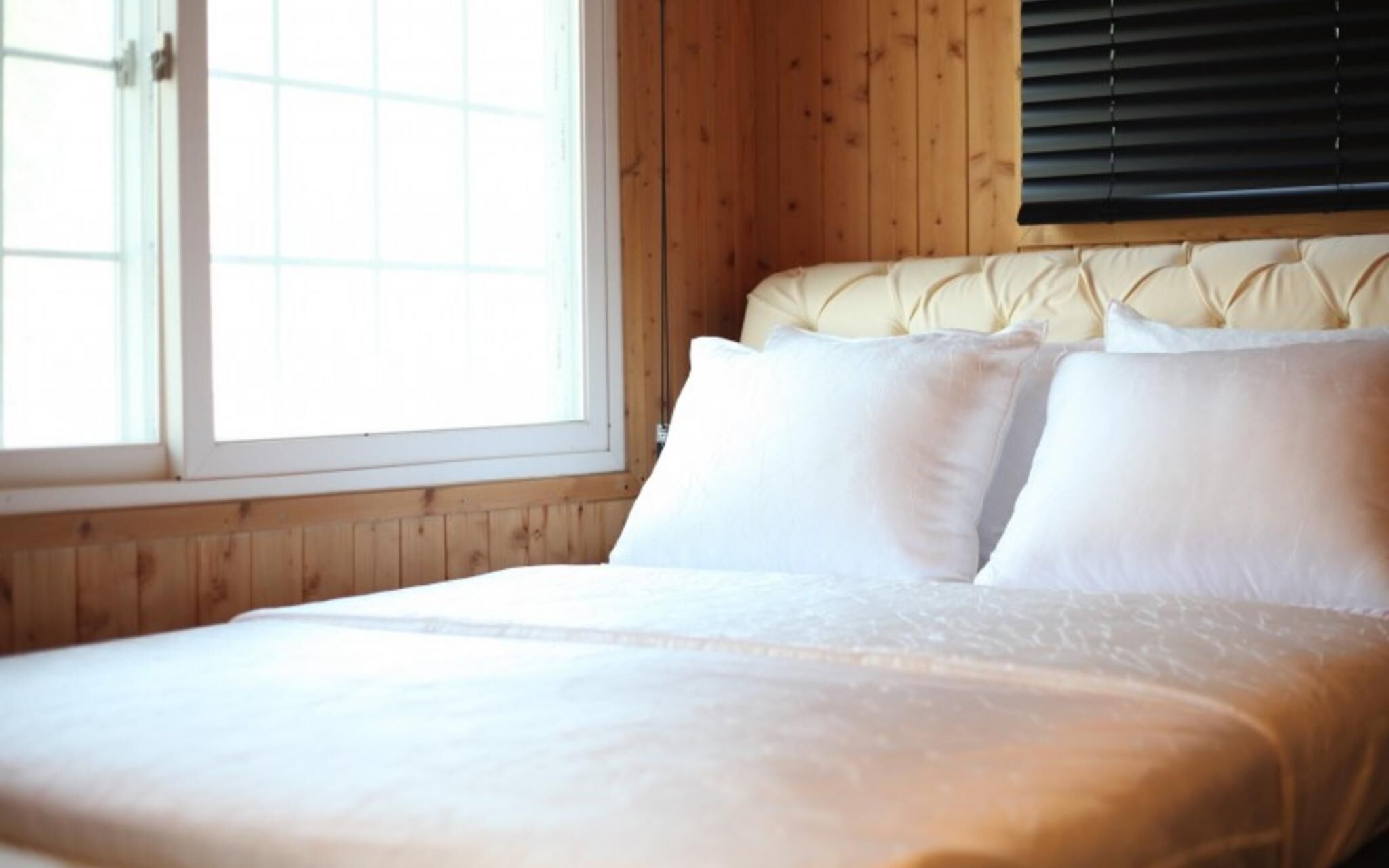 Chuncheon Pet Island Pension