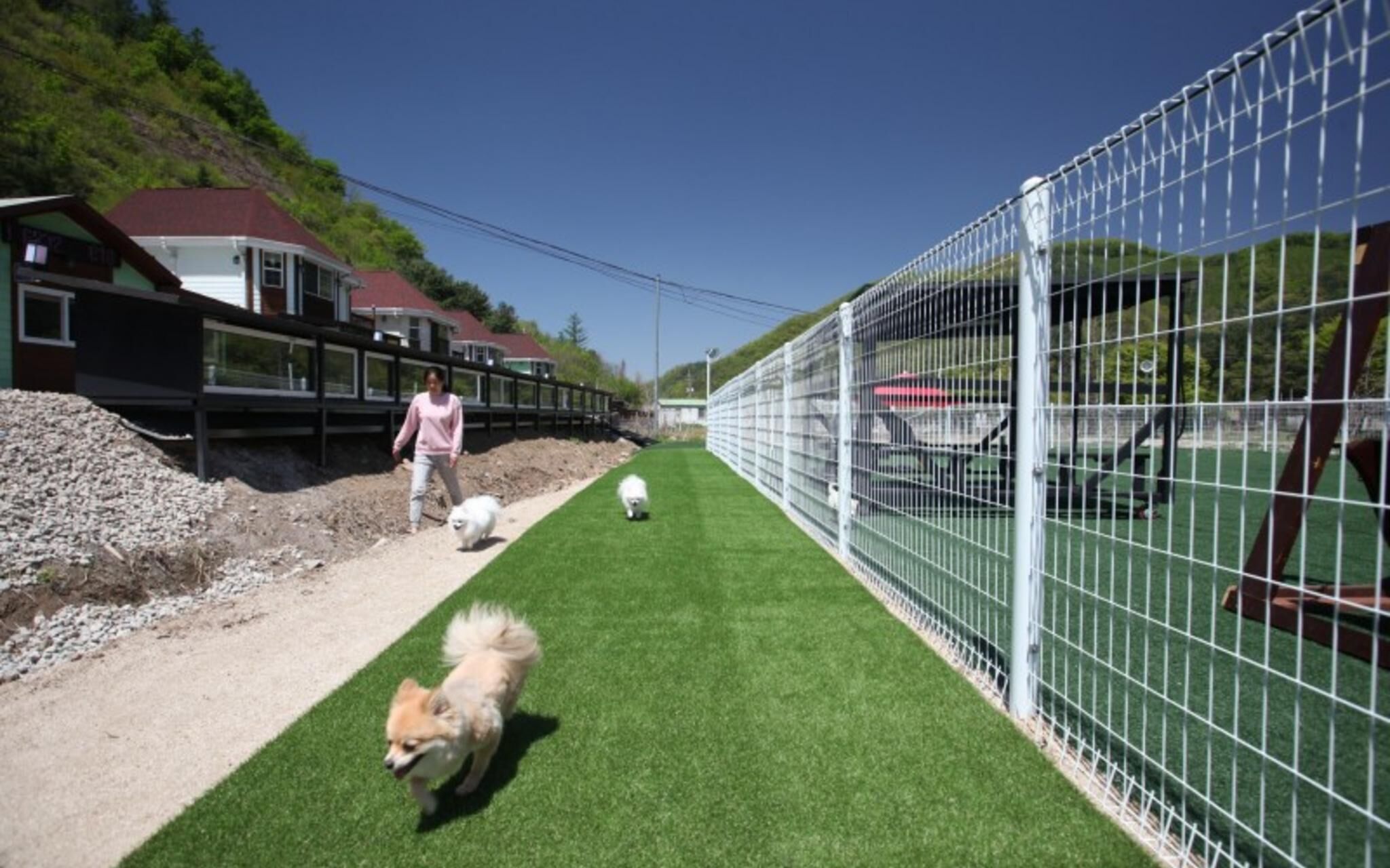 Chuncheon Pet Island Pension