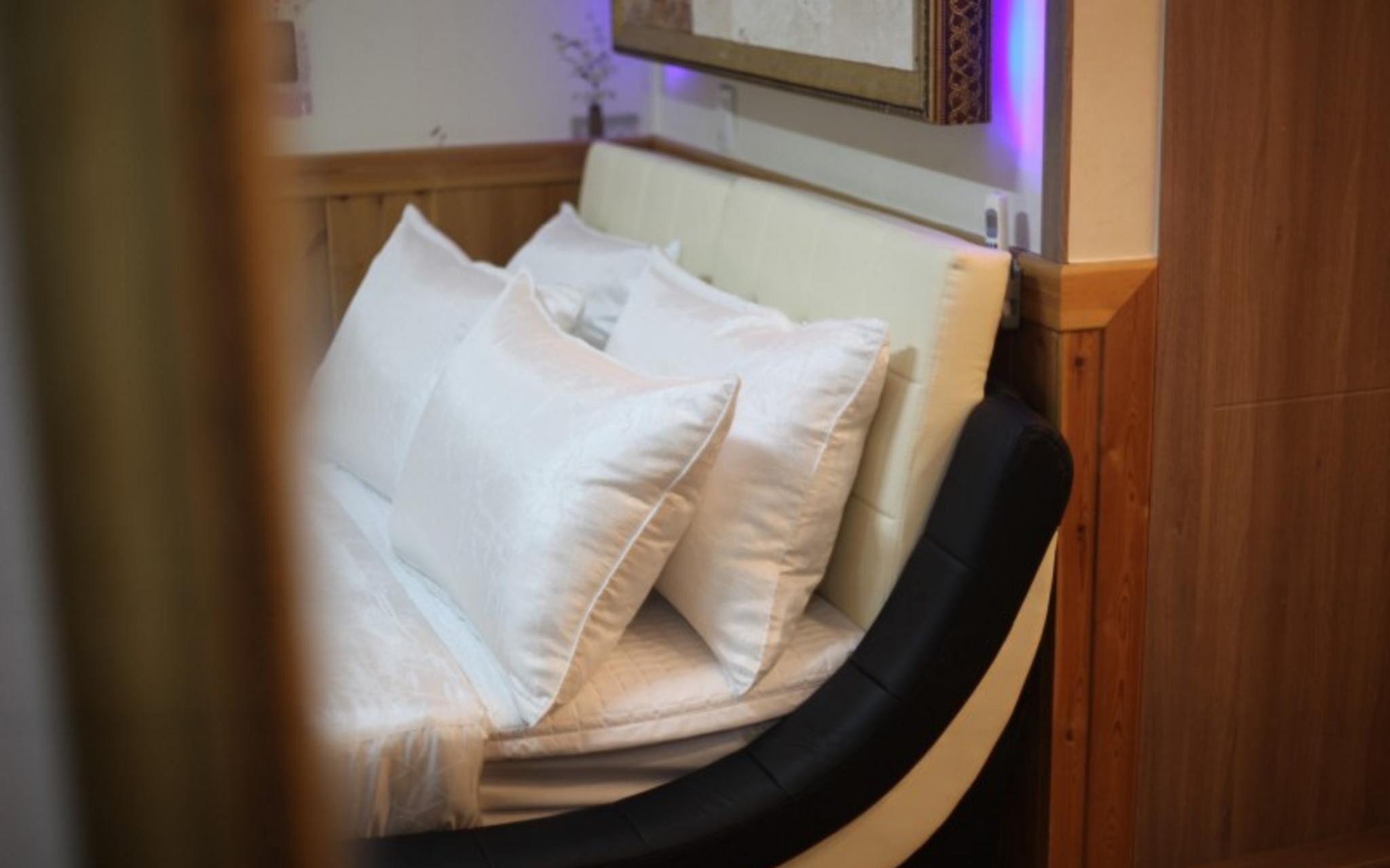 Chuncheon Pet Island Pension