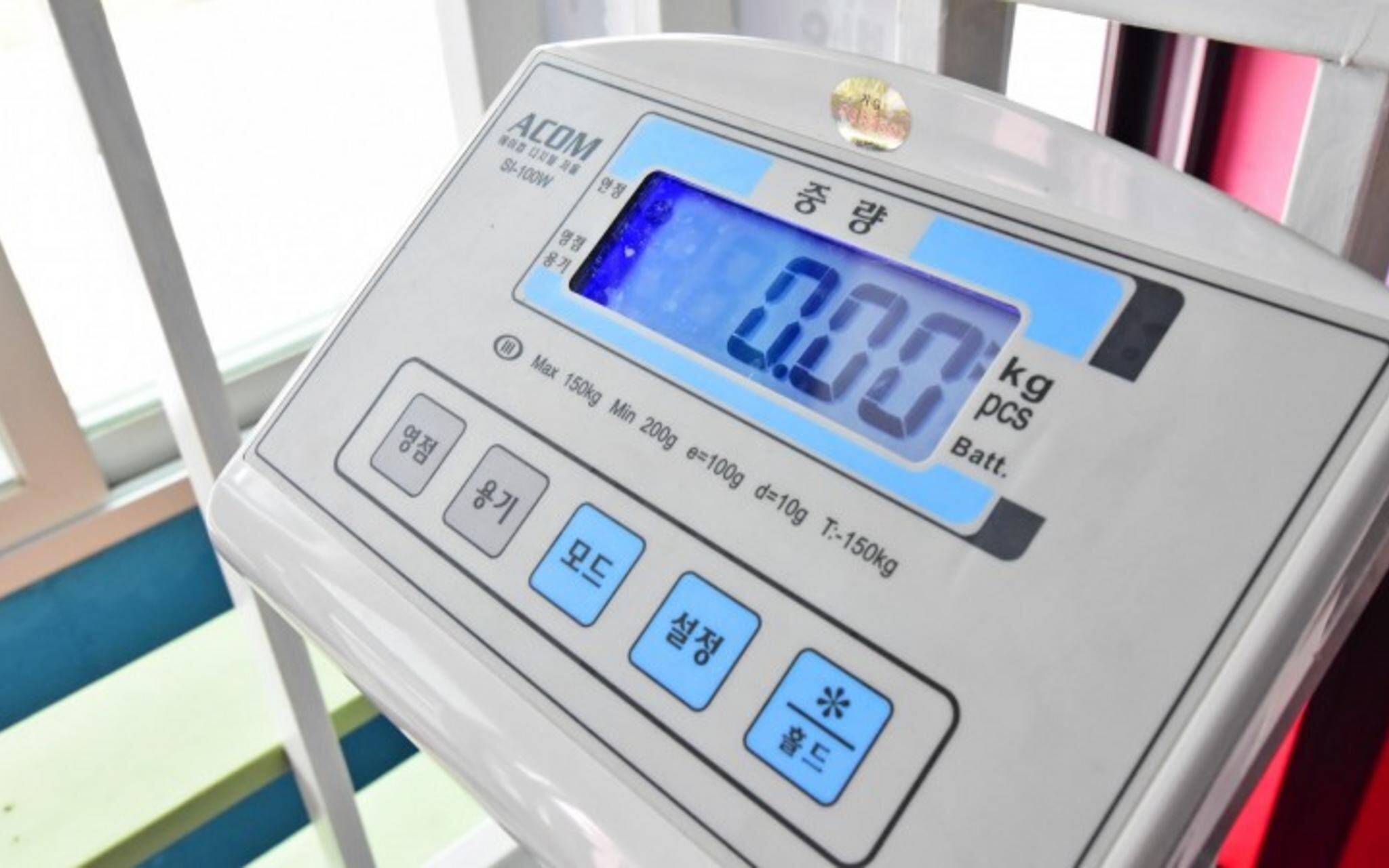 Chuncheon Pet Island Pension