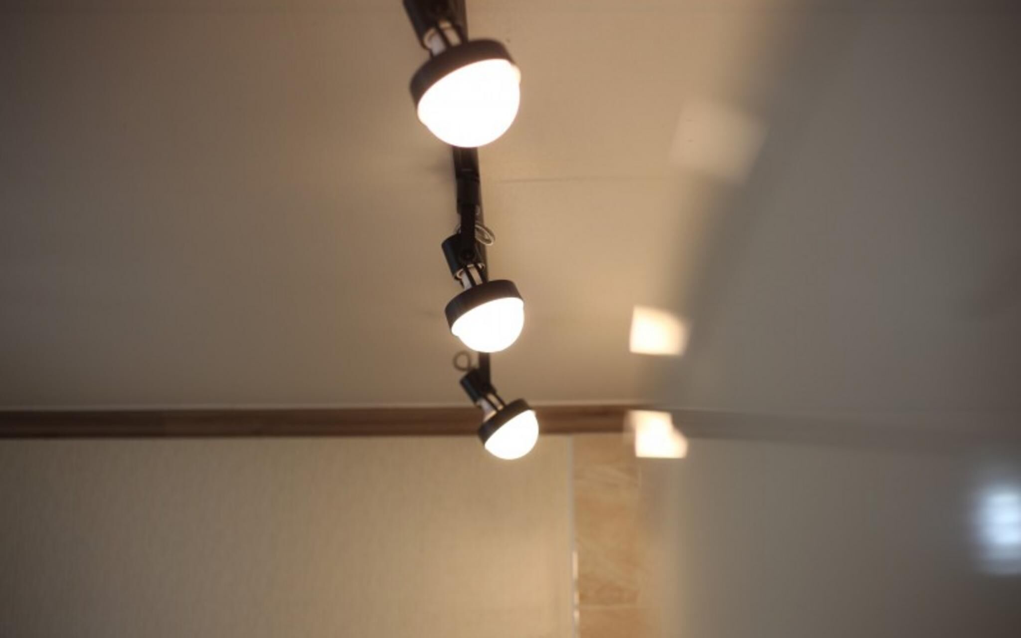 Chuncheon Pet Island Pension