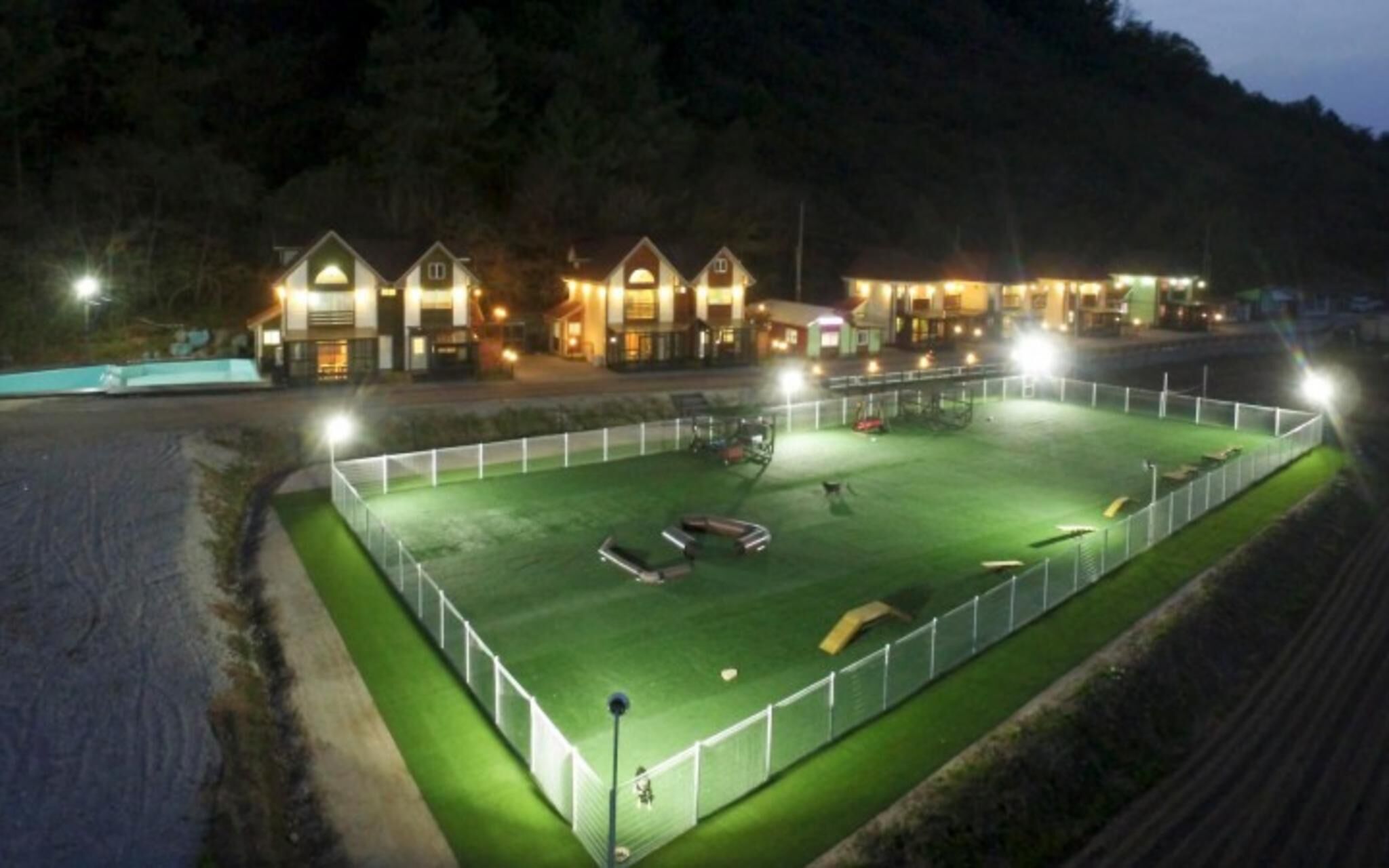 Chuncheon Pet Island Pension