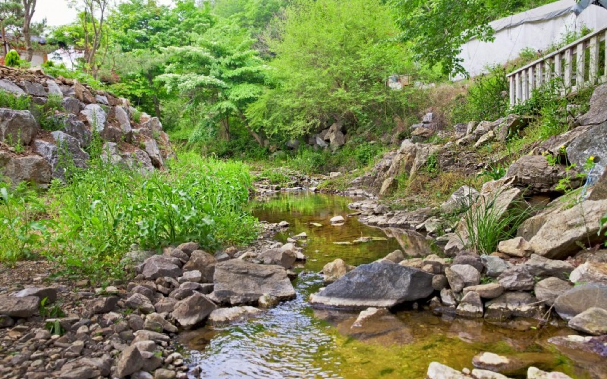 Chuncheon Serenite Pension