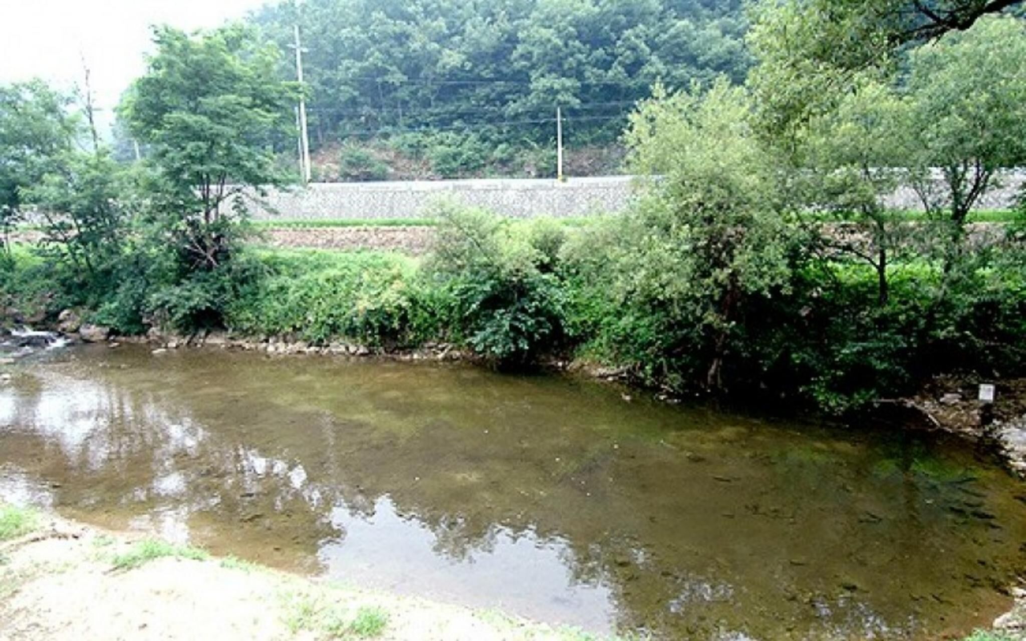 Chuncheon Supsogiyagi Pension