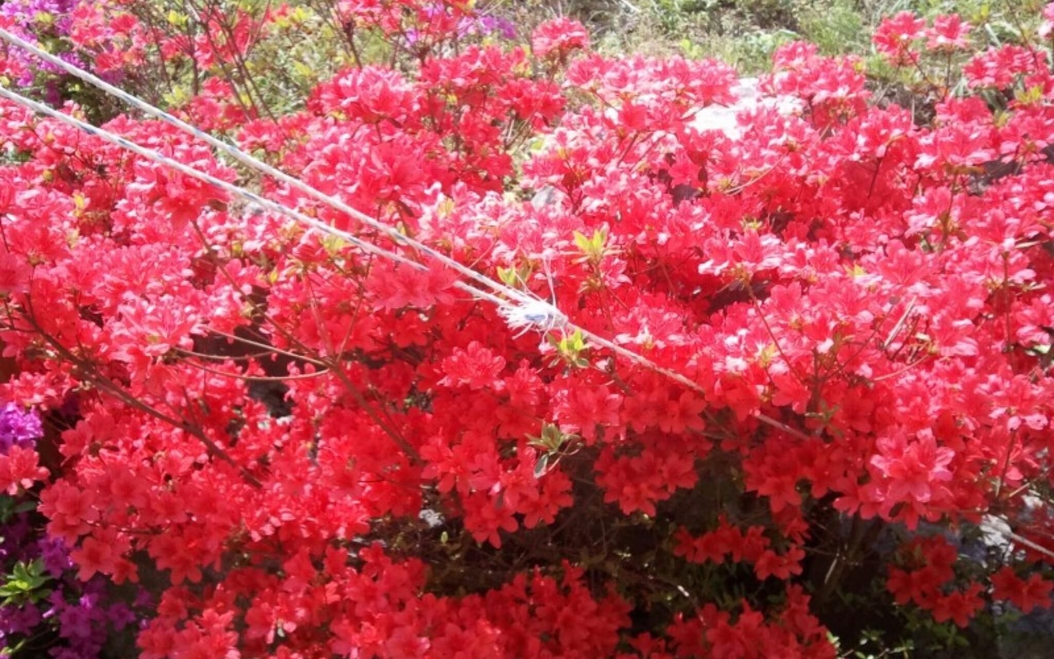 Chuncheon Supsogui Gangchon Pension