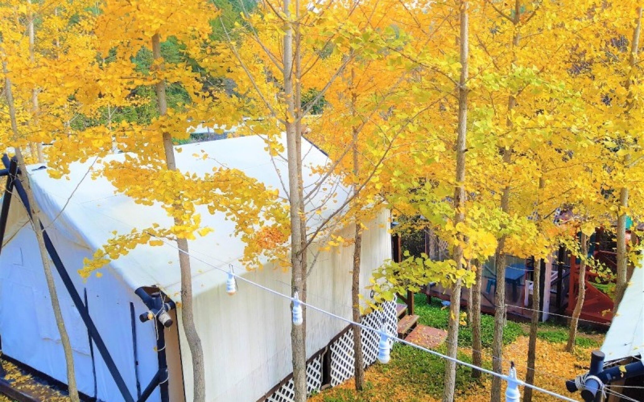 Chuncheon Yellow Hill Glamping Pension