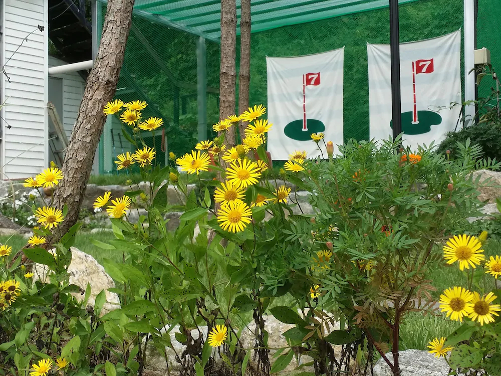 I Pluss Poolviller Pension