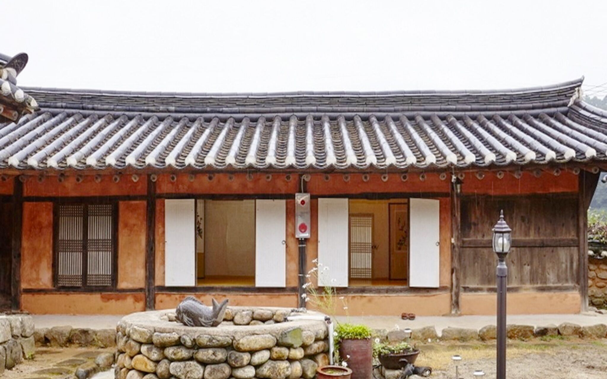 Chungju Wildflowers And Gotaengnadeuri
