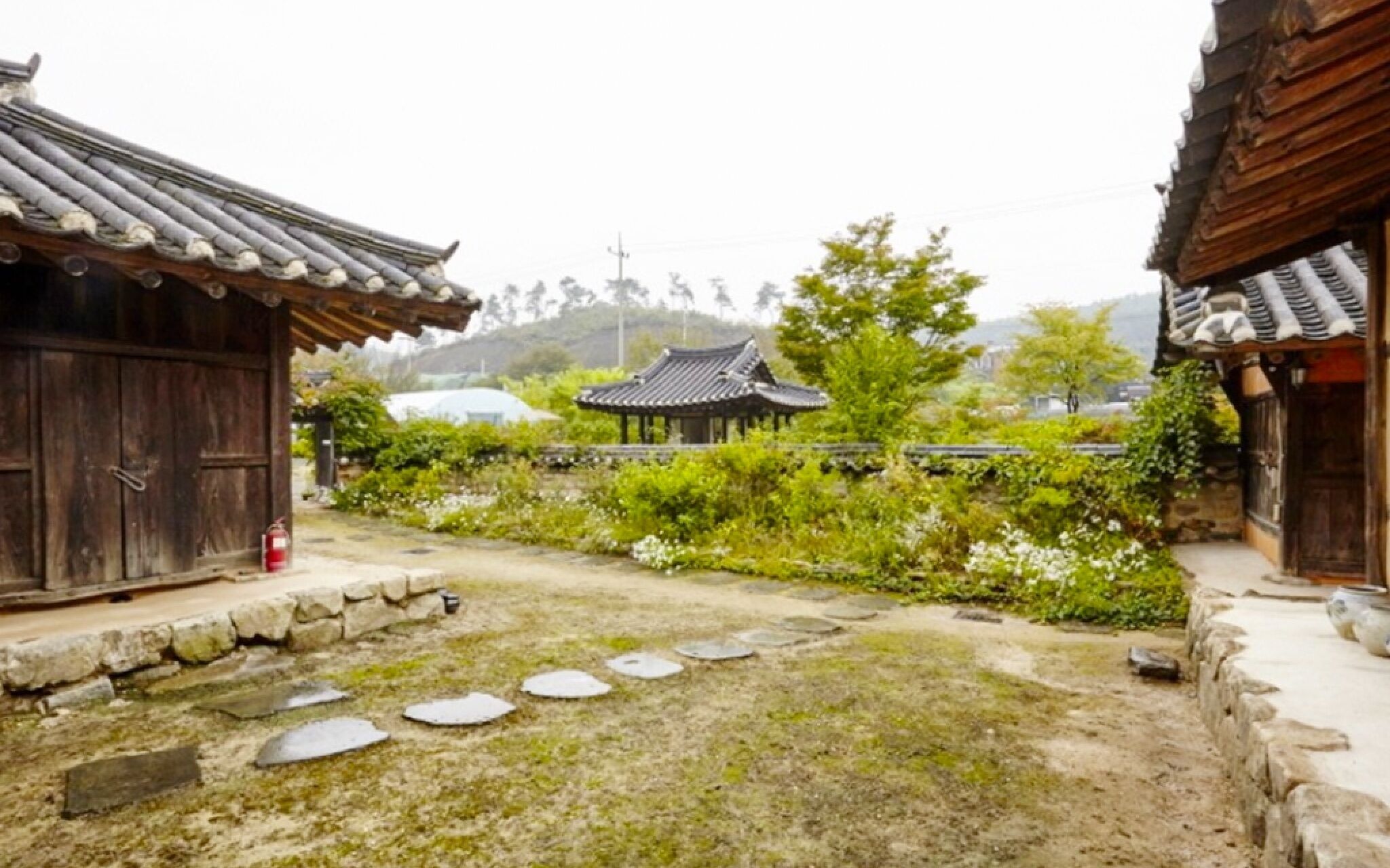 Chungju Wildflowers And Gotaengnadeuri