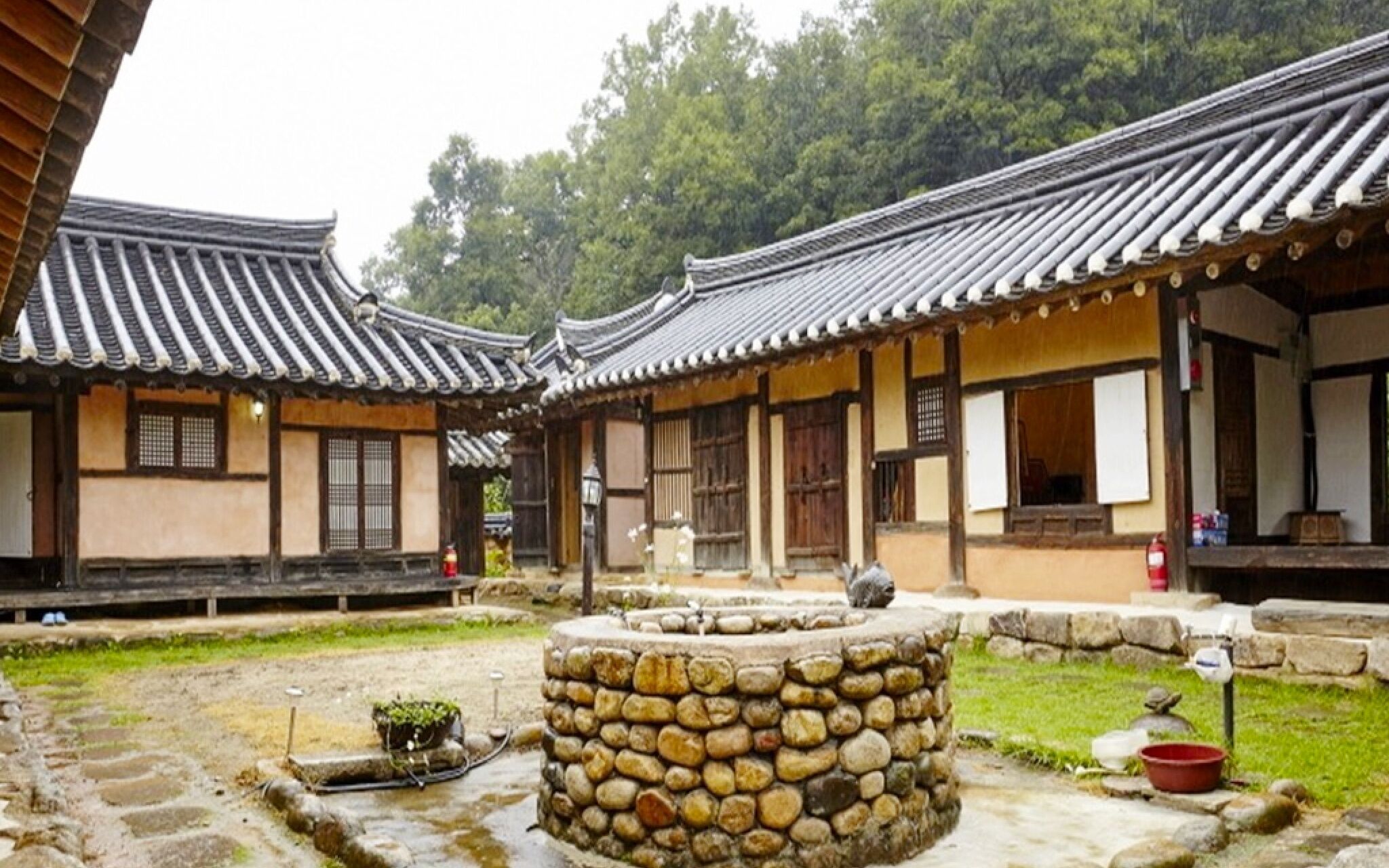 Chungju Wildflowers And Gotaengnadeuri