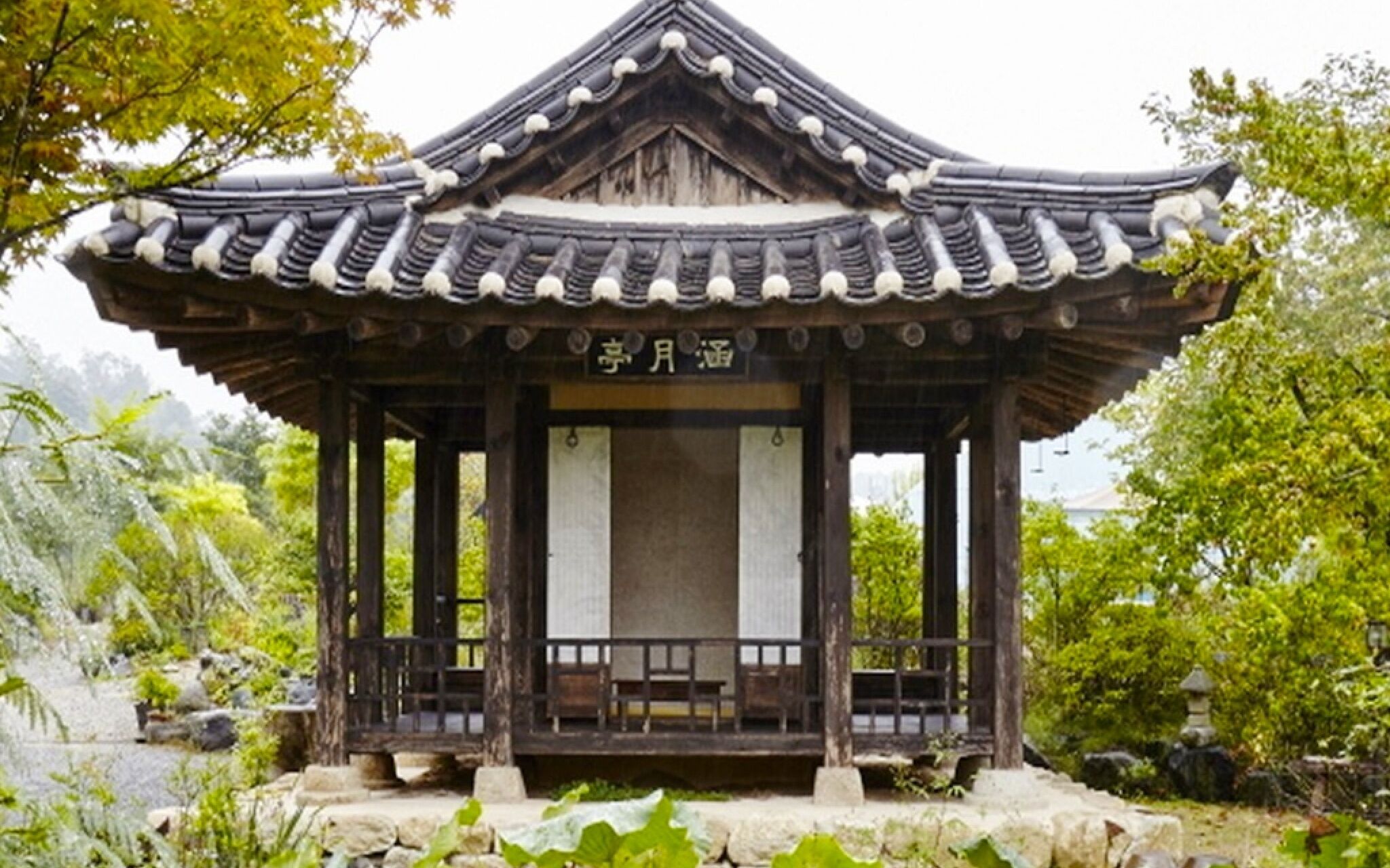 Chungju Wildflowers And Gotaengnadeuri