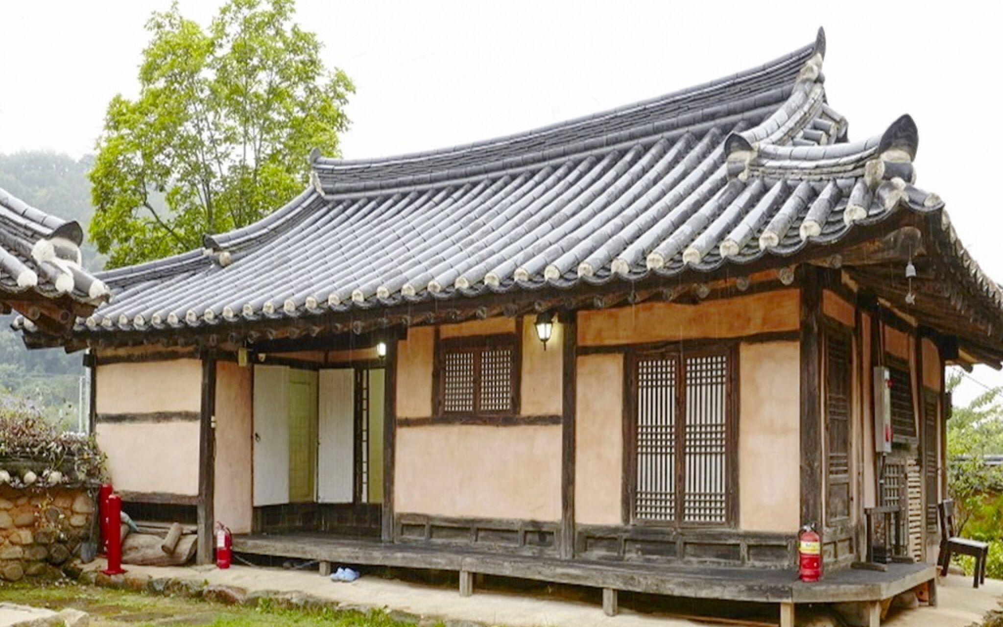 Chungju Wildflowers And Gotaengnadeuri