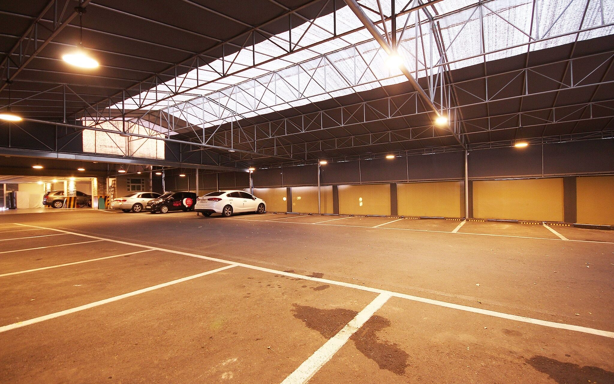 Daegu Bible Summer Time