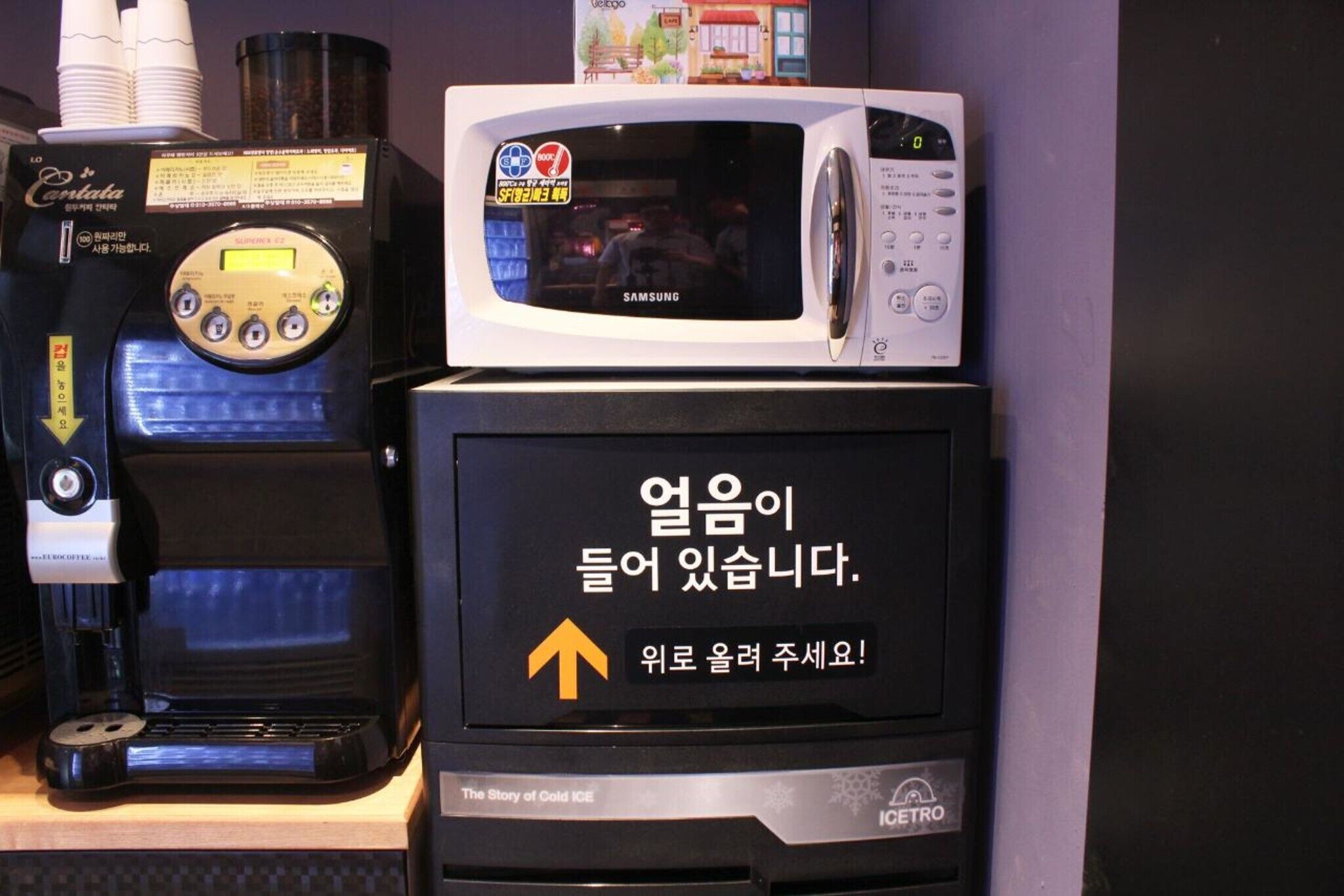 Daegu Bolli-dong IF