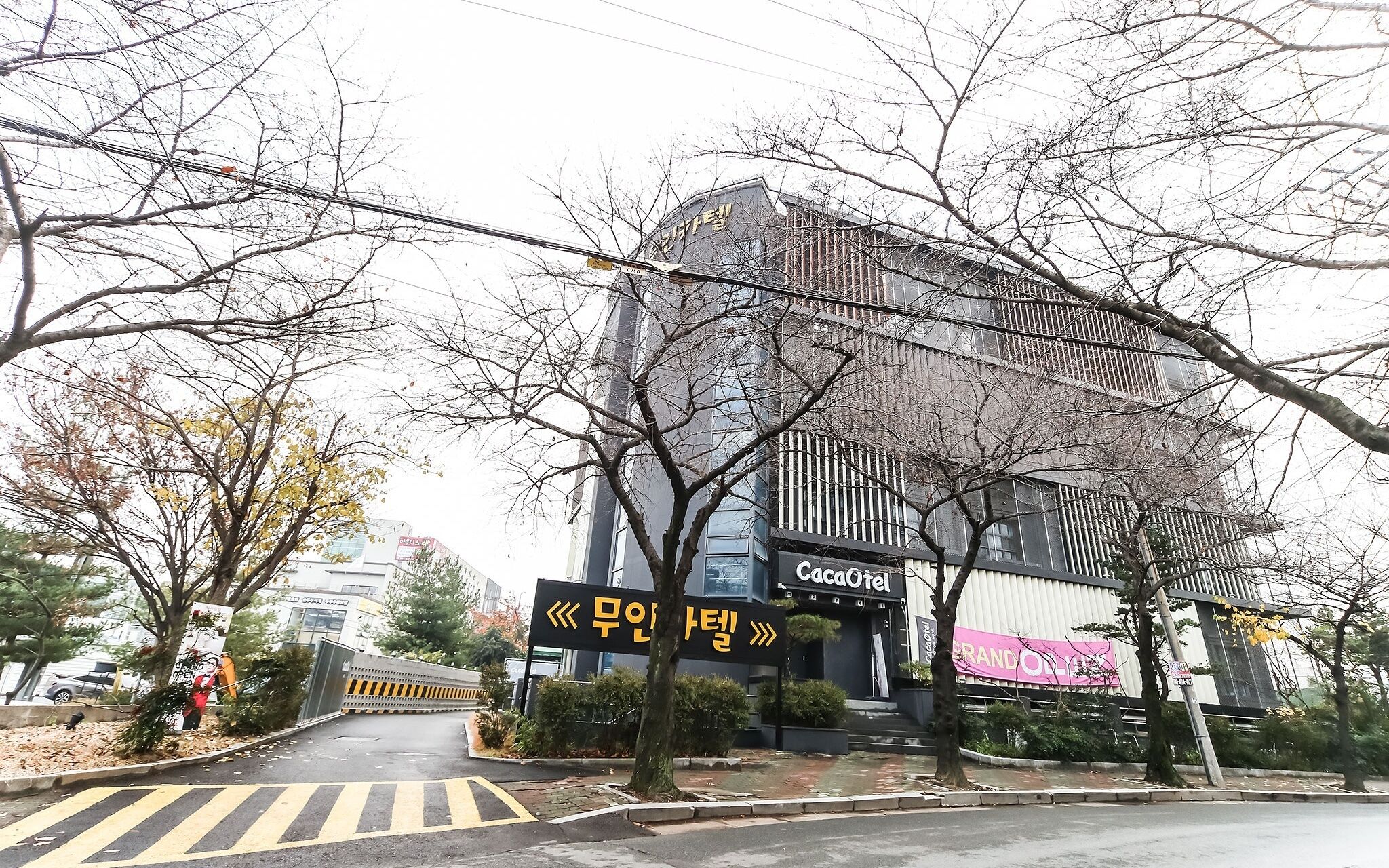 Daegu Dongchon Cacaotel