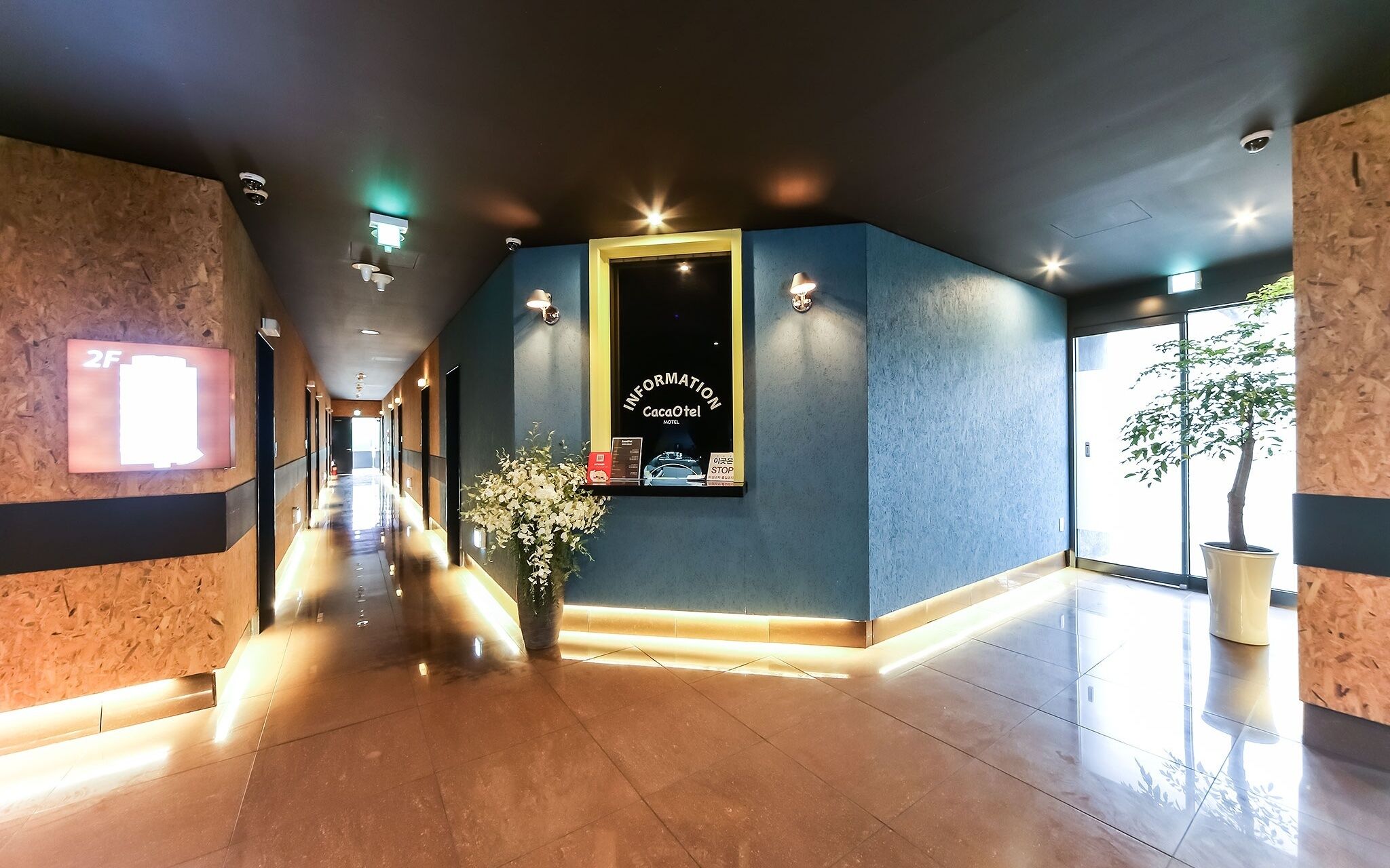 Daegu Dongchon Cacaotel