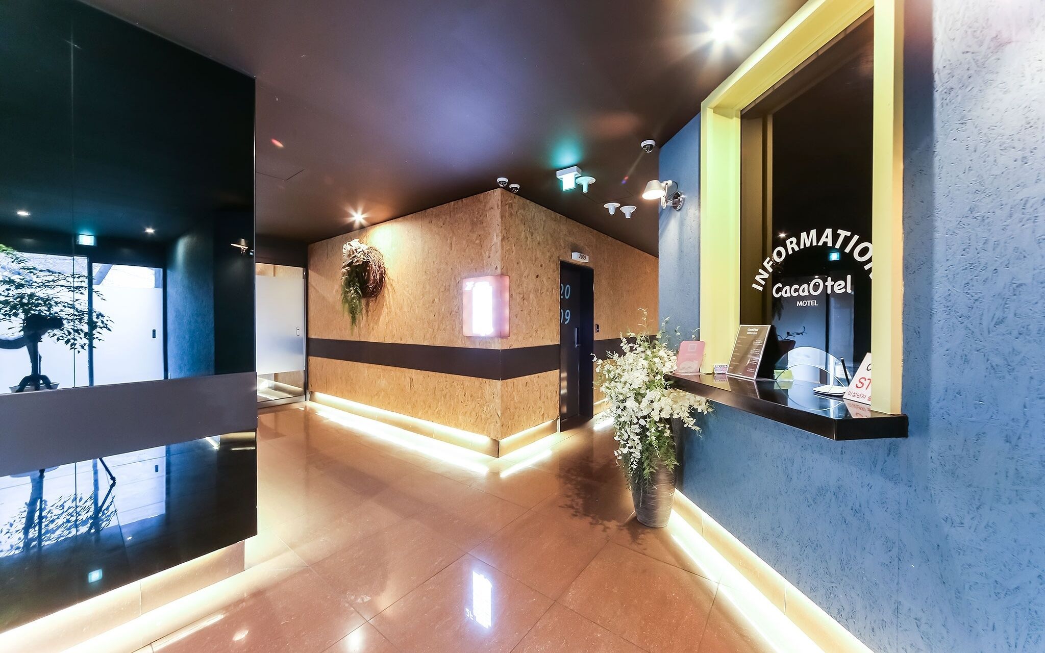 Daegu Dongchon Cacaotel