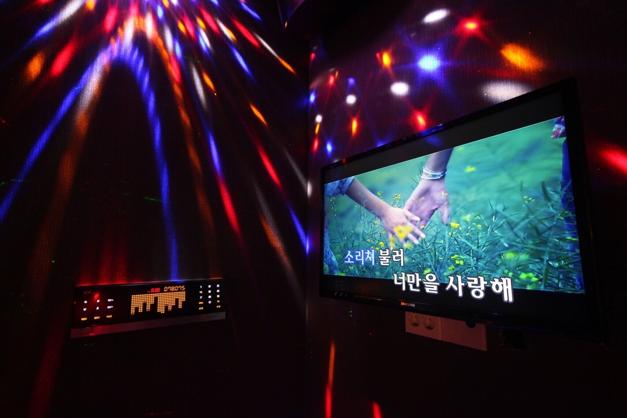 Daegu Dongseong-Ro Piknik