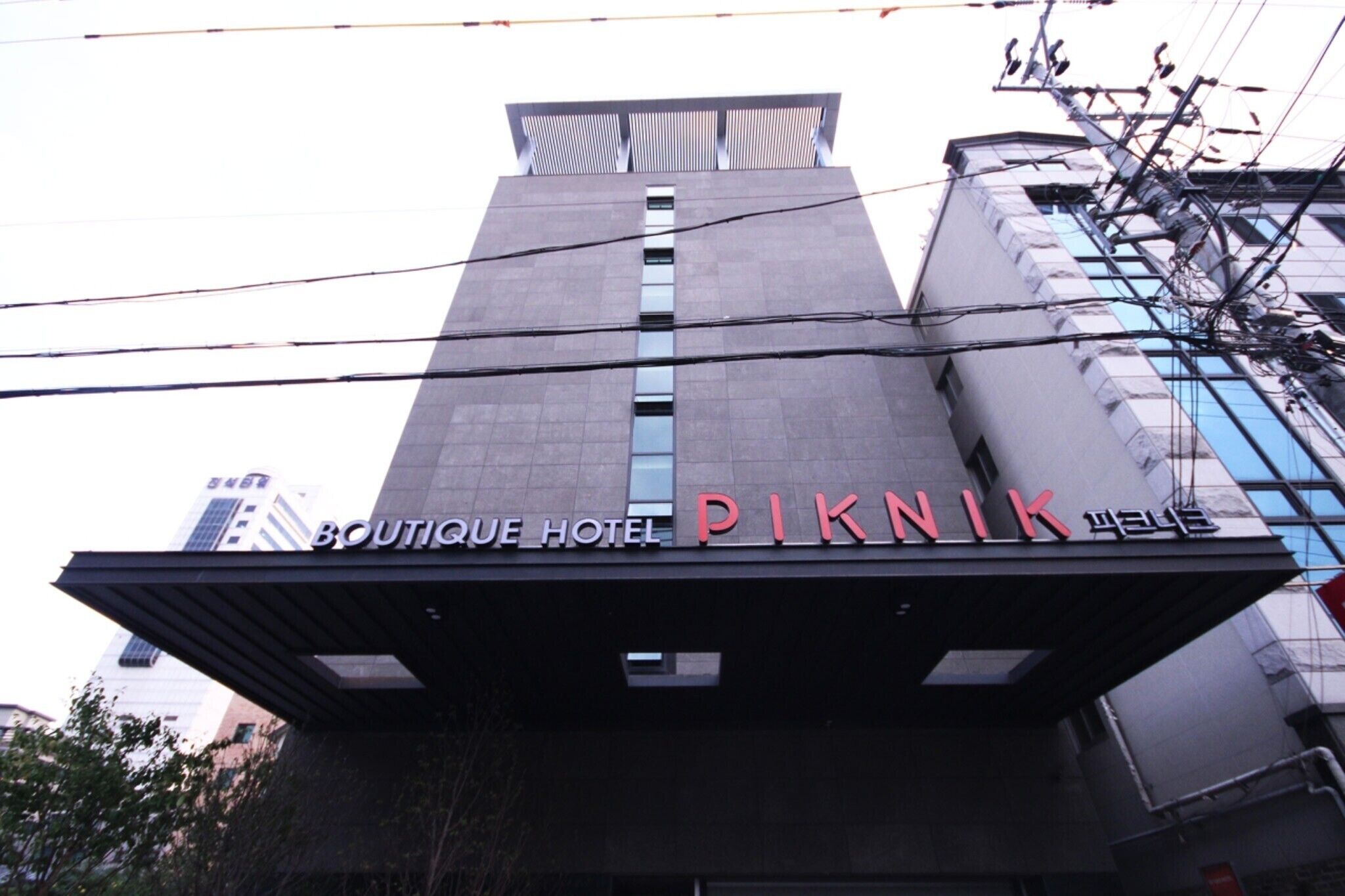 Daegu Dongseong-Ro Piknik