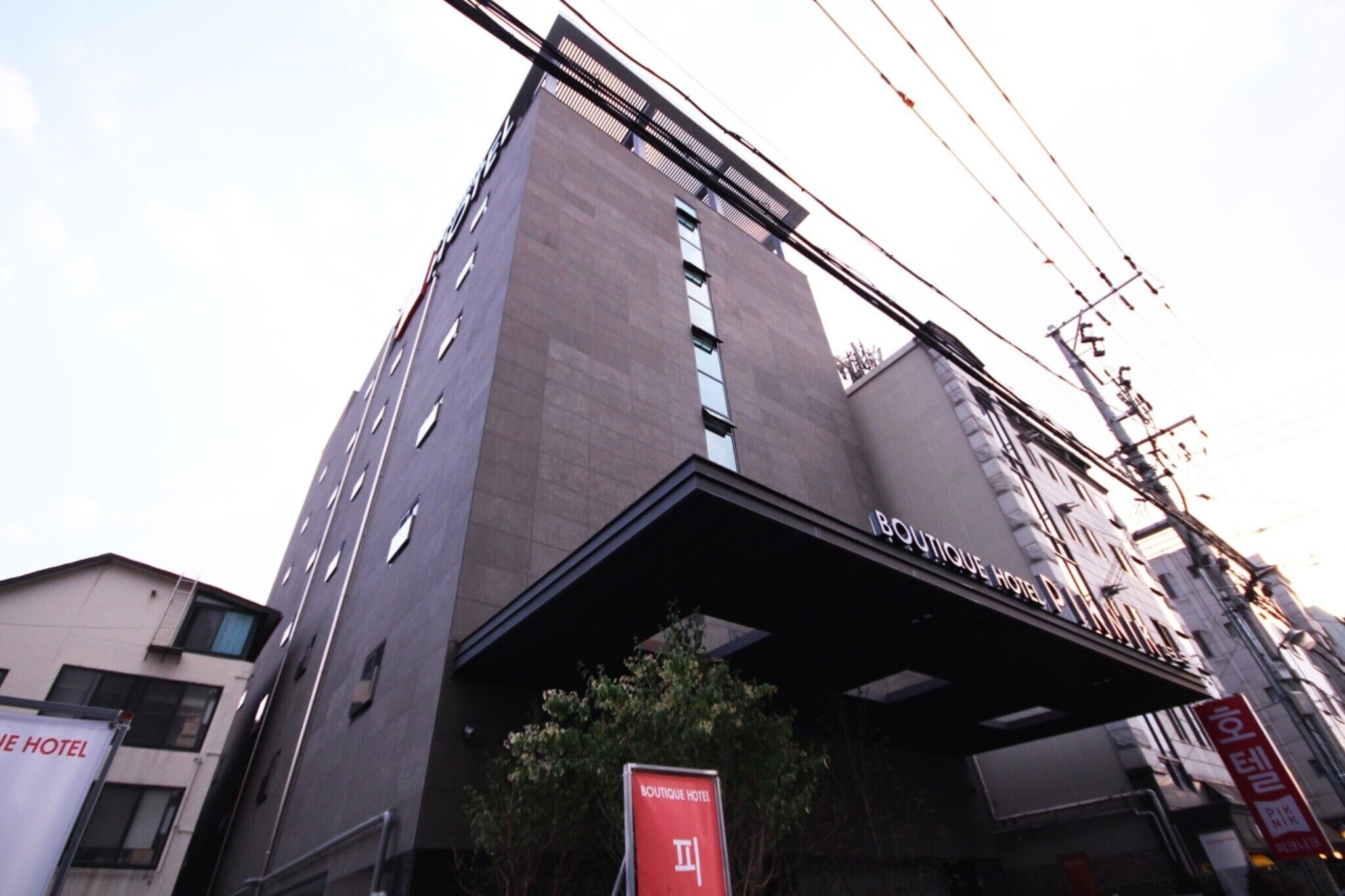 Daegu Dongseong-Ro Piknik
