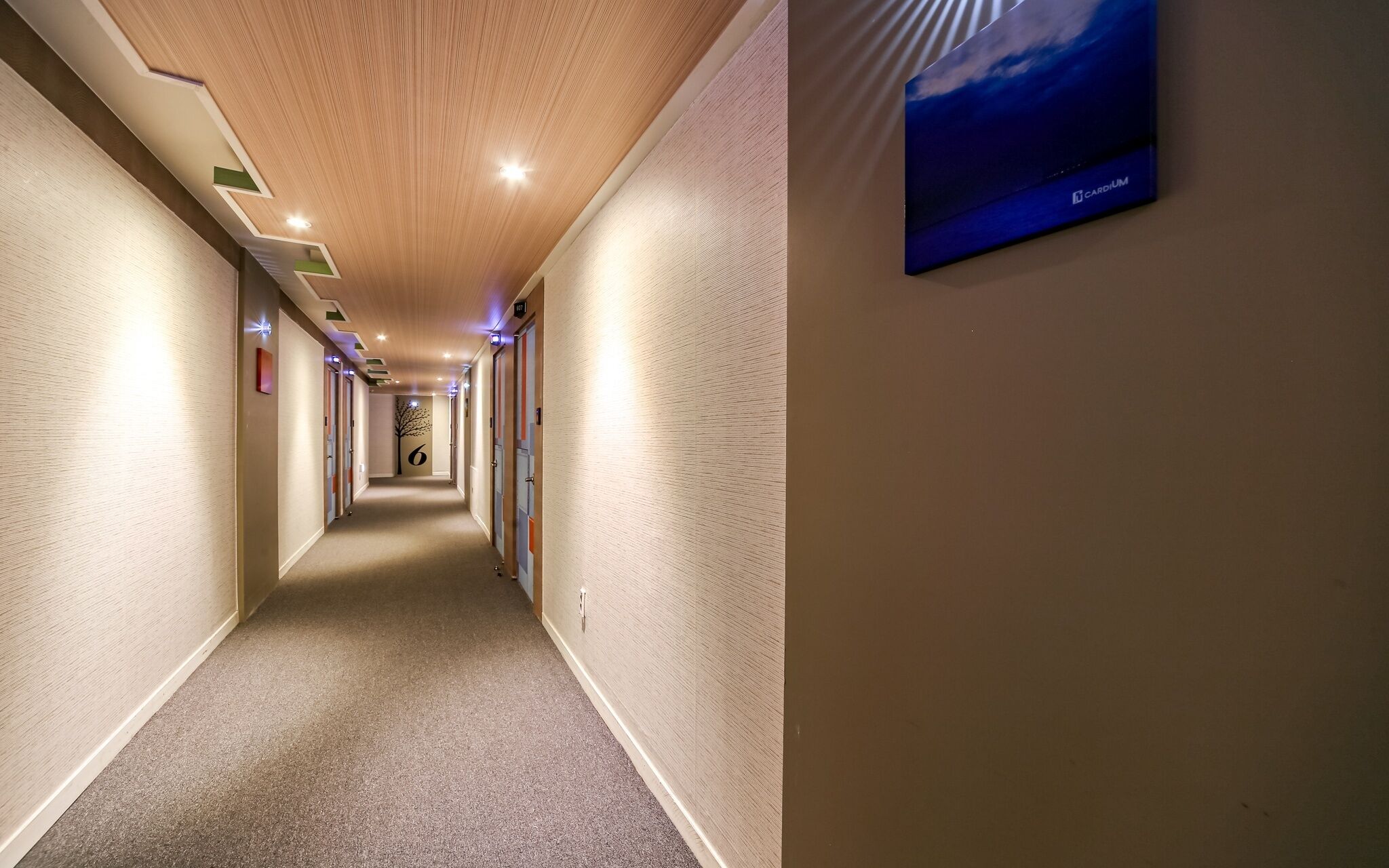 Daegu Seongseo Cardium