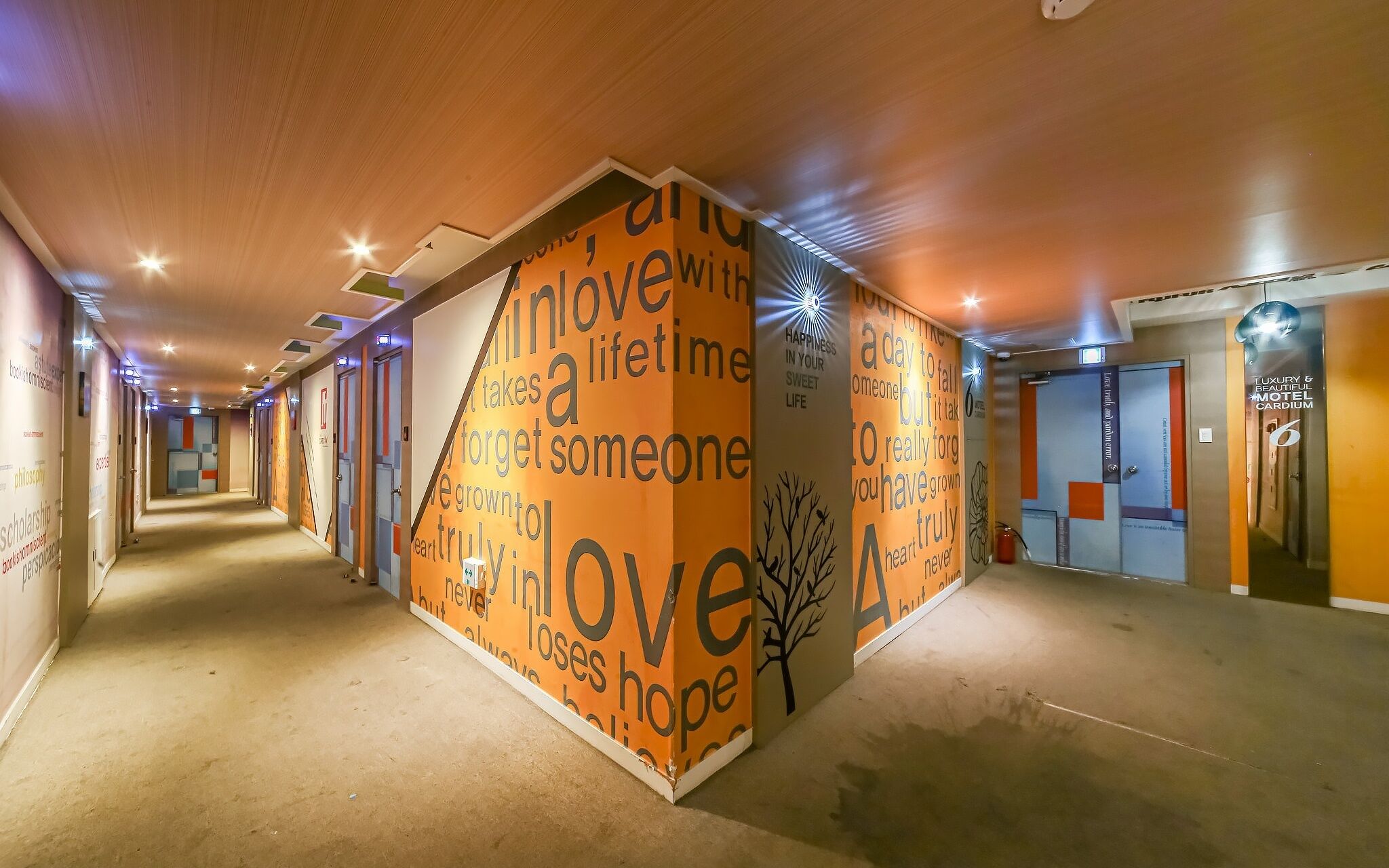 Daegu Seongseo Cardium