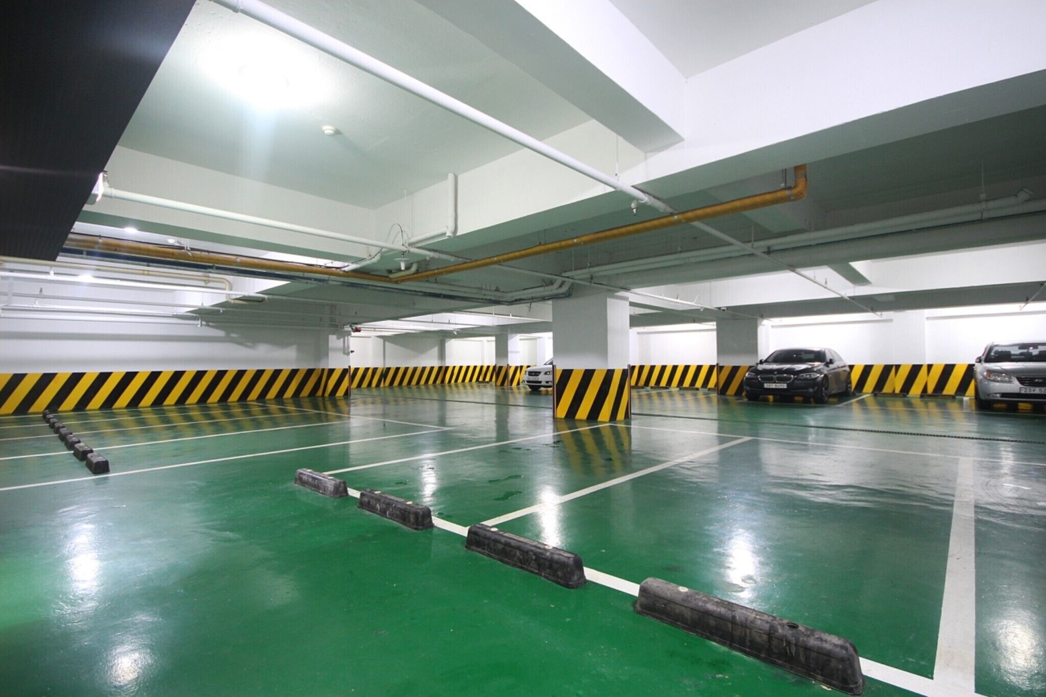 Daegu Seongseo Cardium