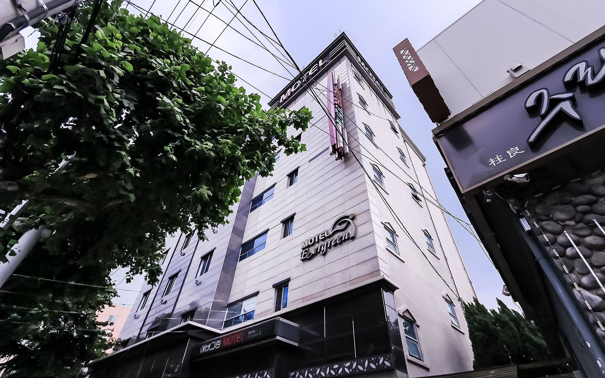 Daegu Wondaedong Evergreen