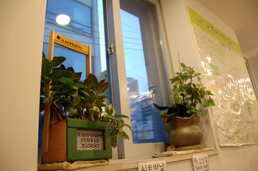 Empathy Dongseongro Guesthouse Hostel