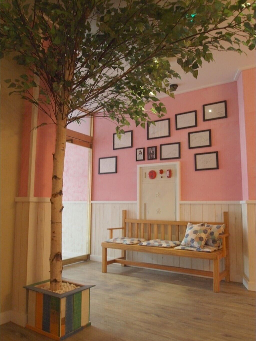 Daejeon Cherry