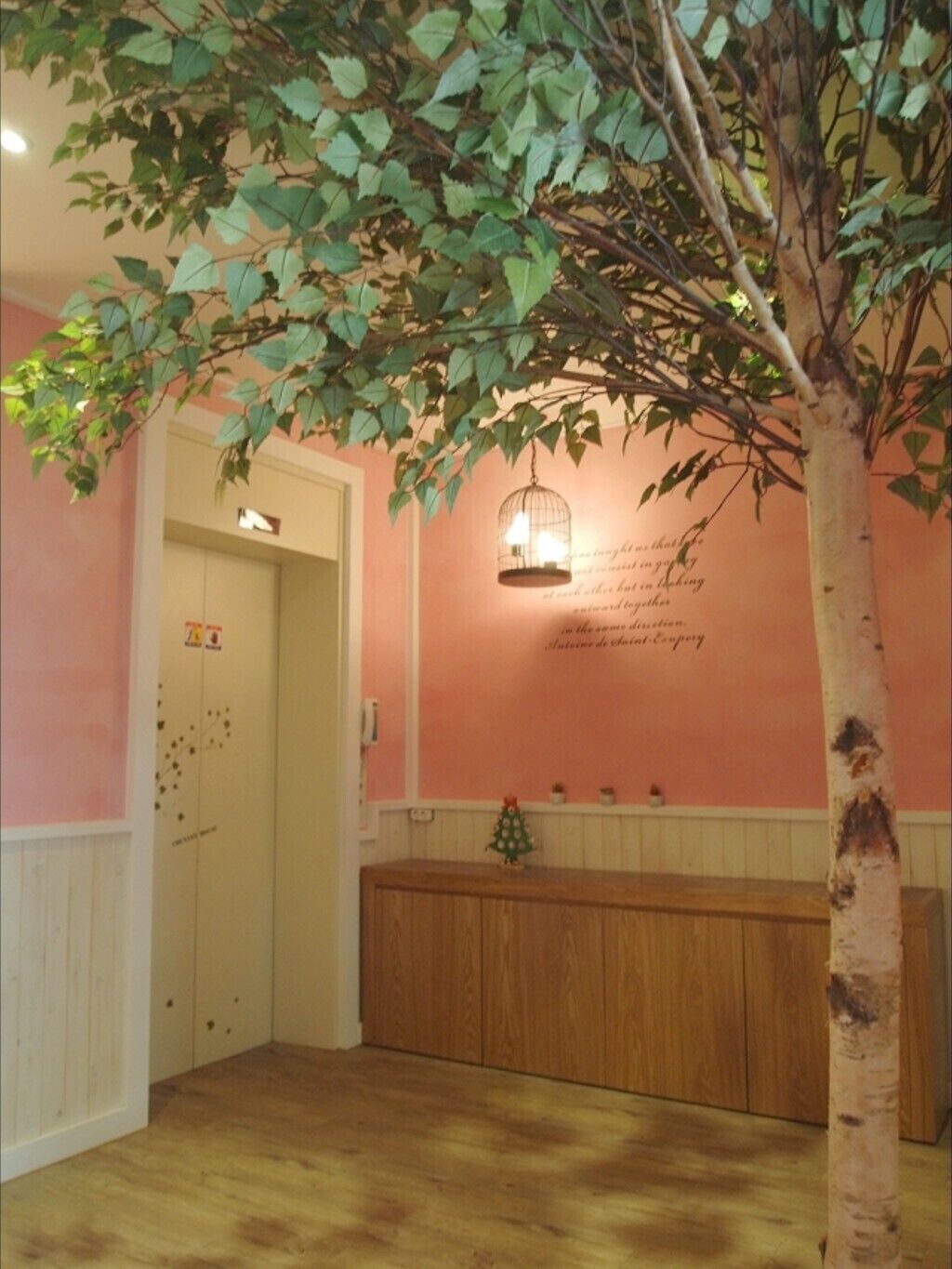 Daejeon Cherry
