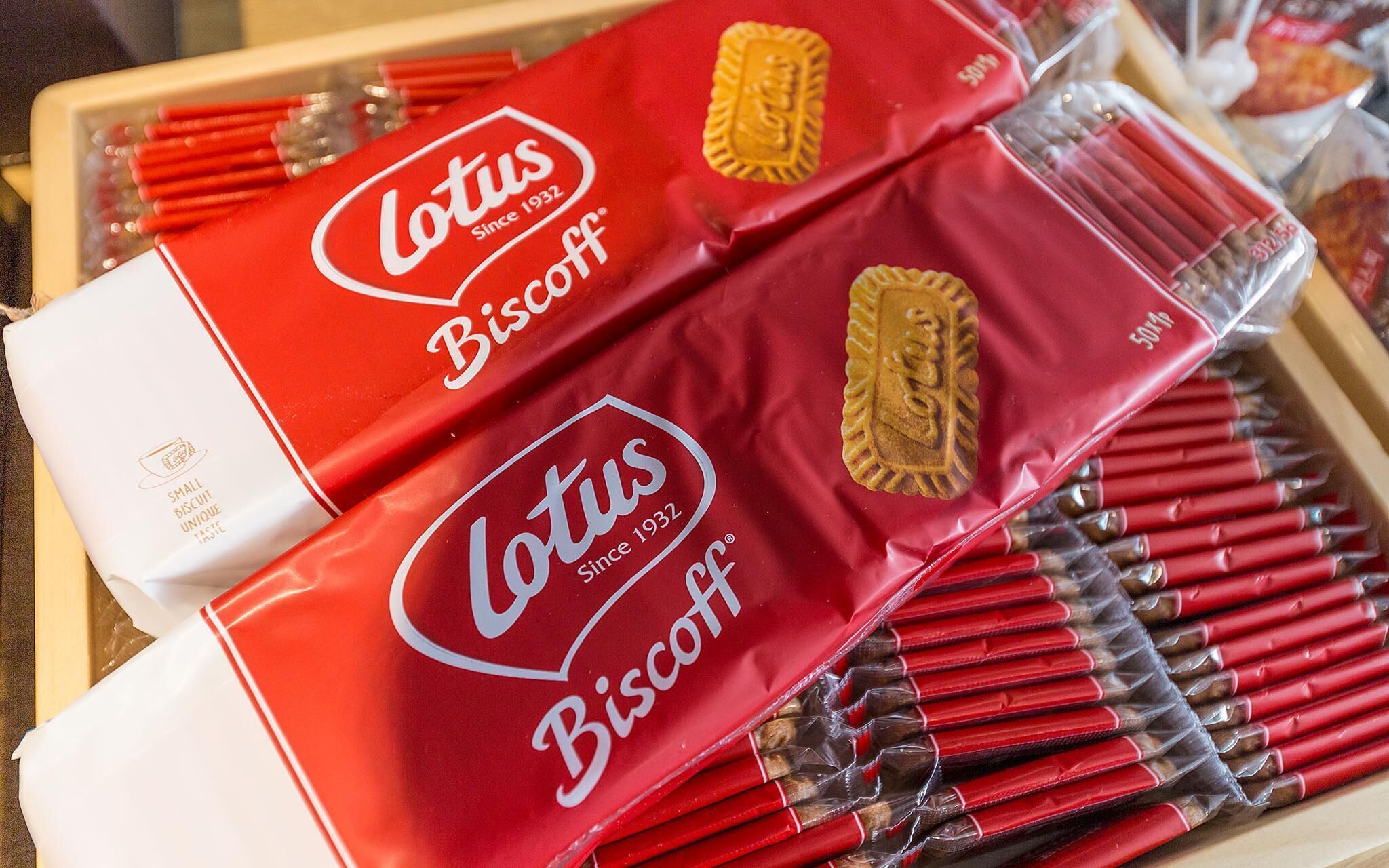 Daejeon Daesa Hotel Bus