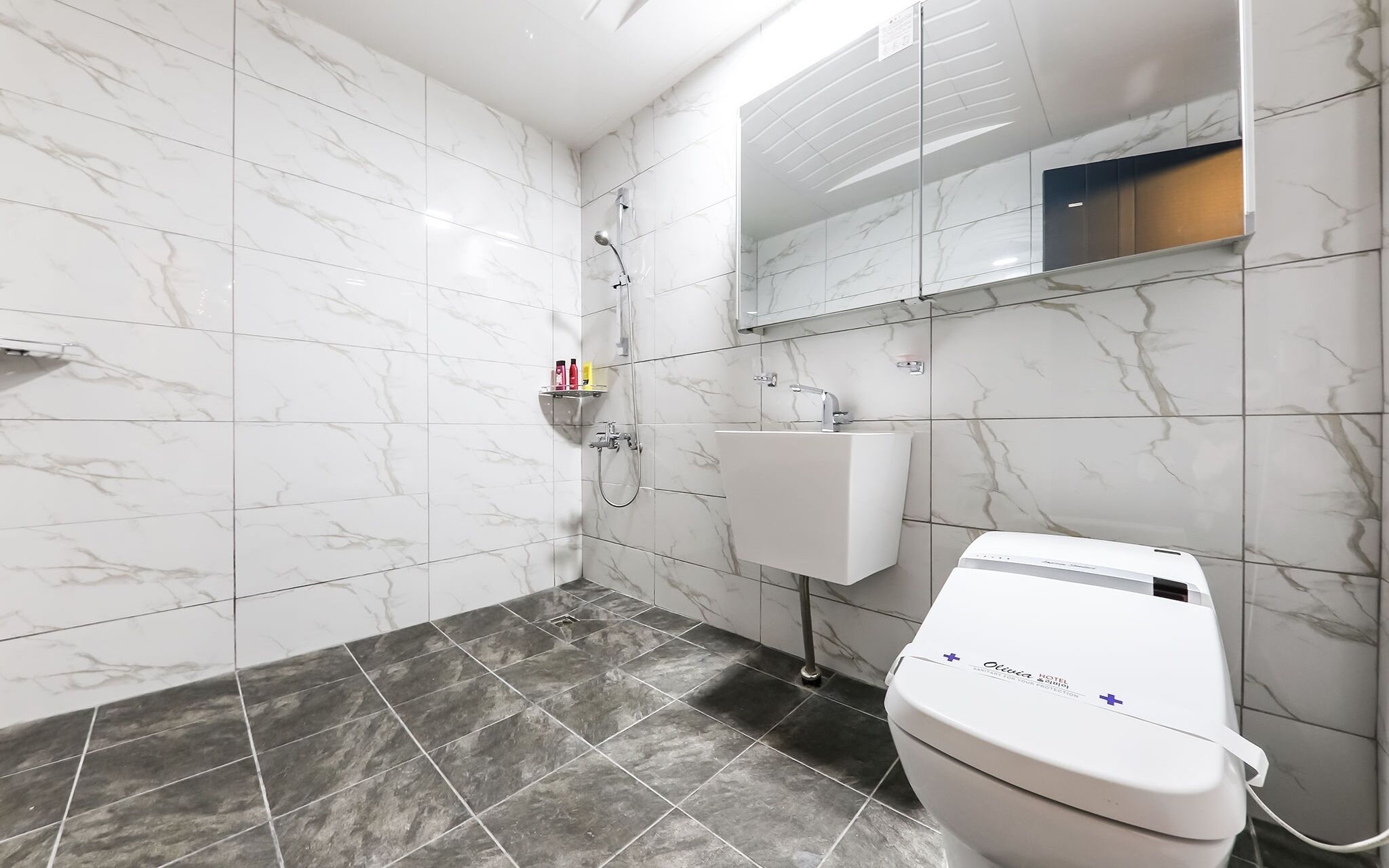 Daejeon Seonhwa Olivia